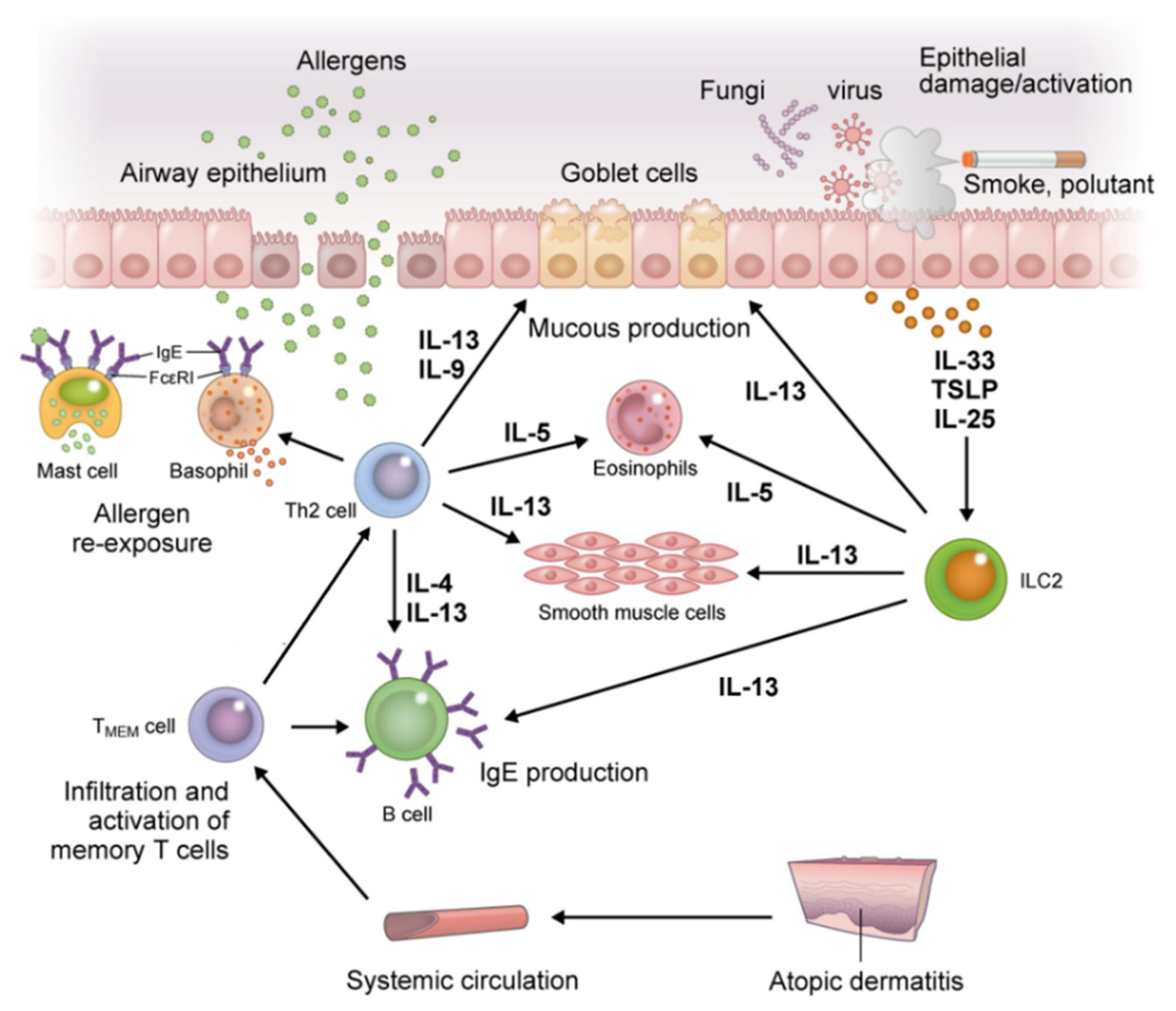 Children 08 01067 g004