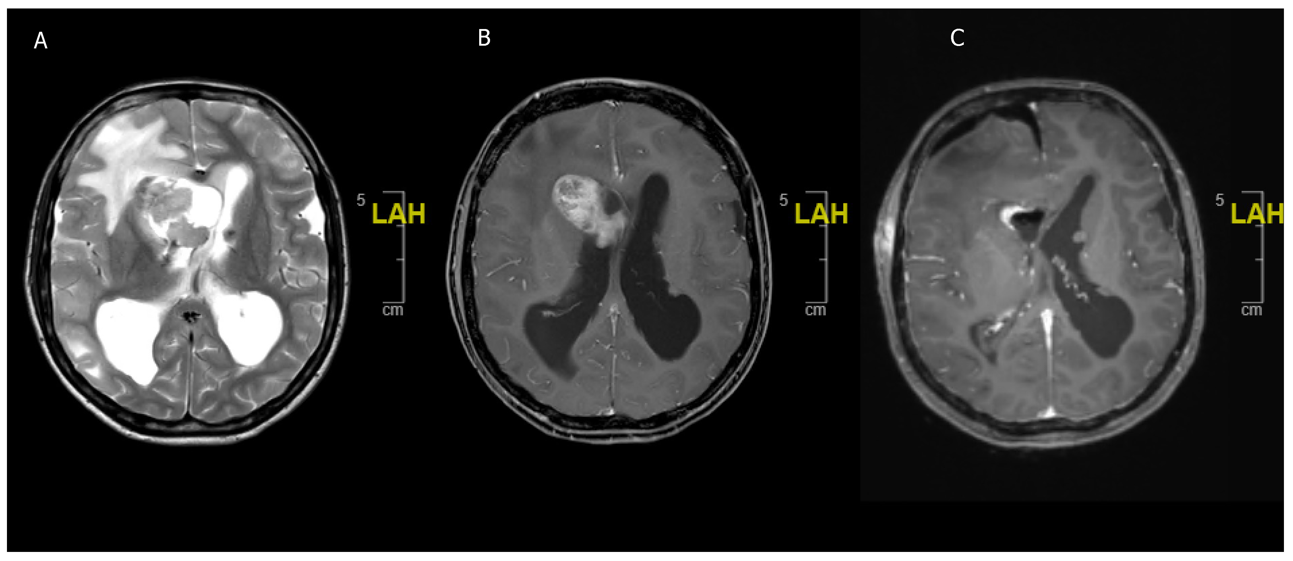 Children 08 01075 g002