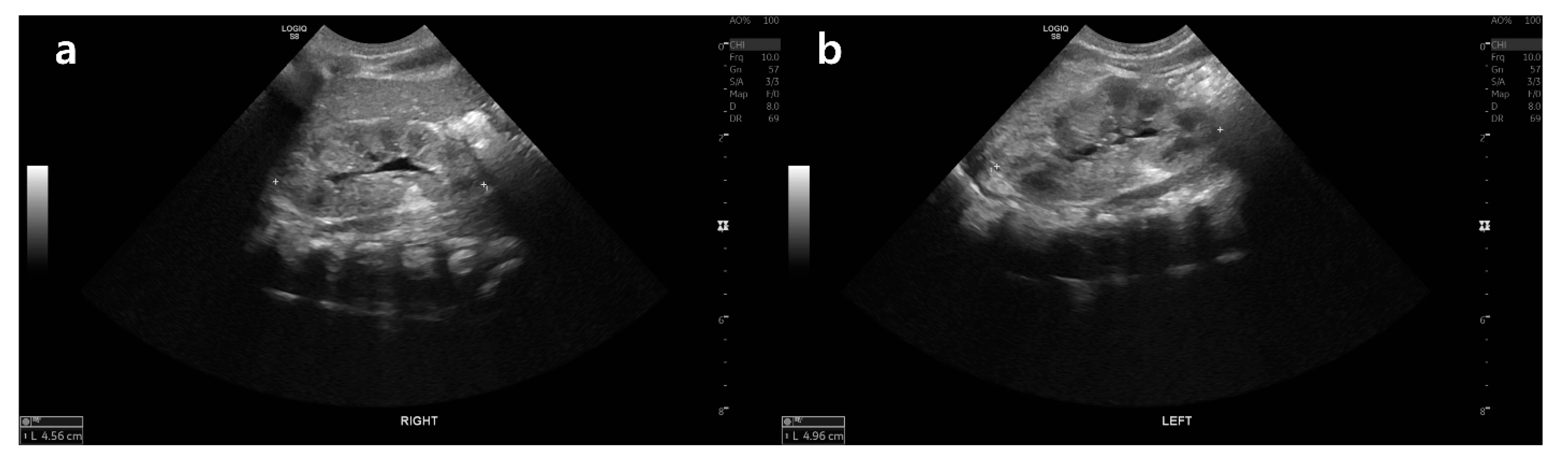 Children 08 01090 g001