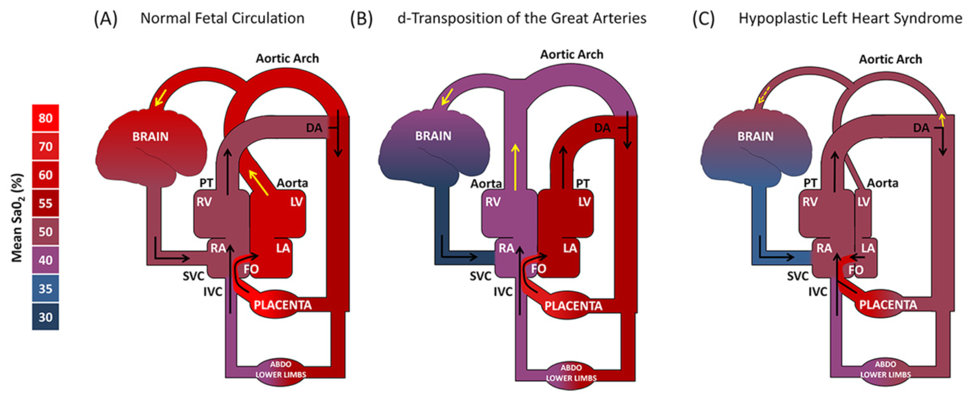 Children 08 01116 g002