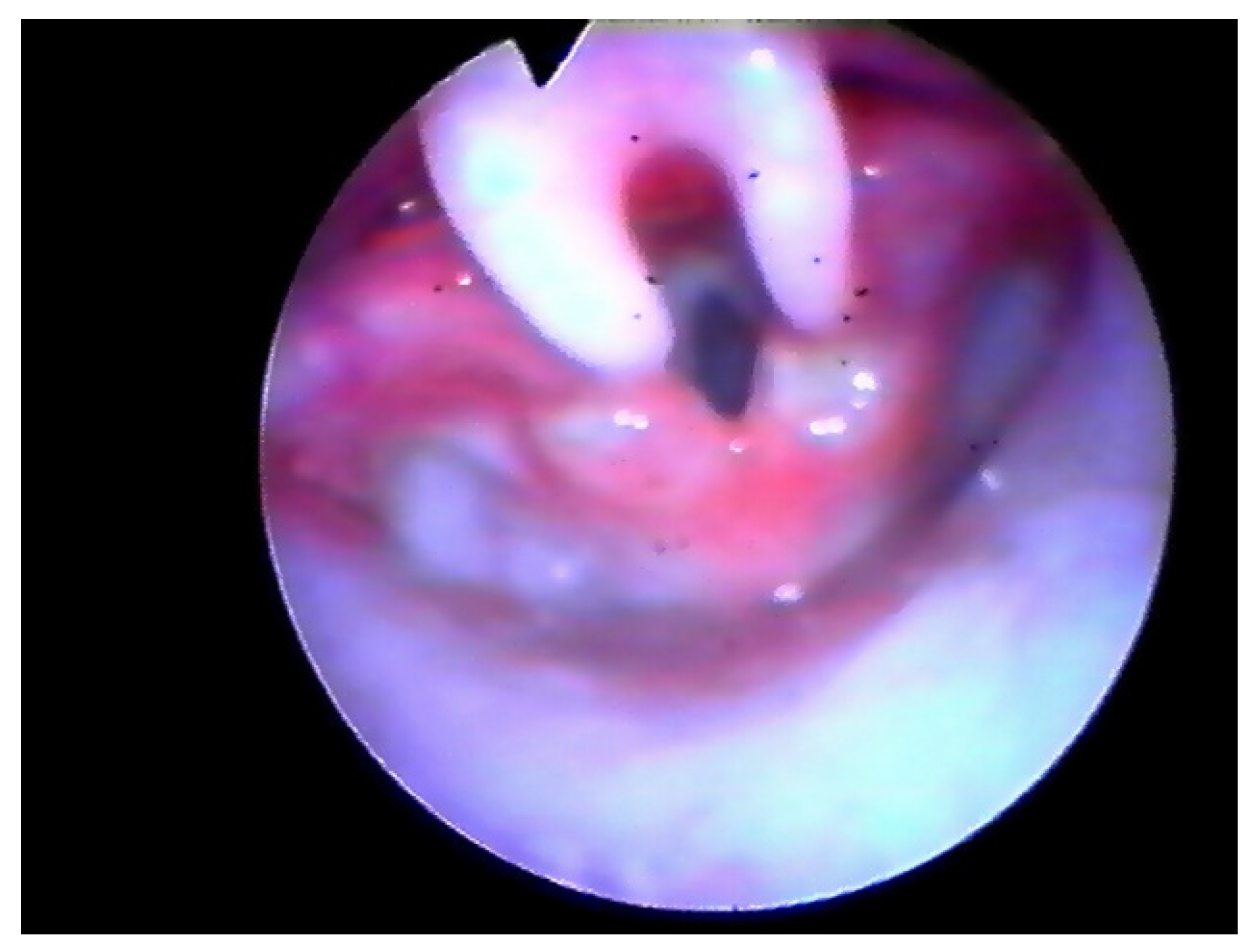 Children 08 01120 g002