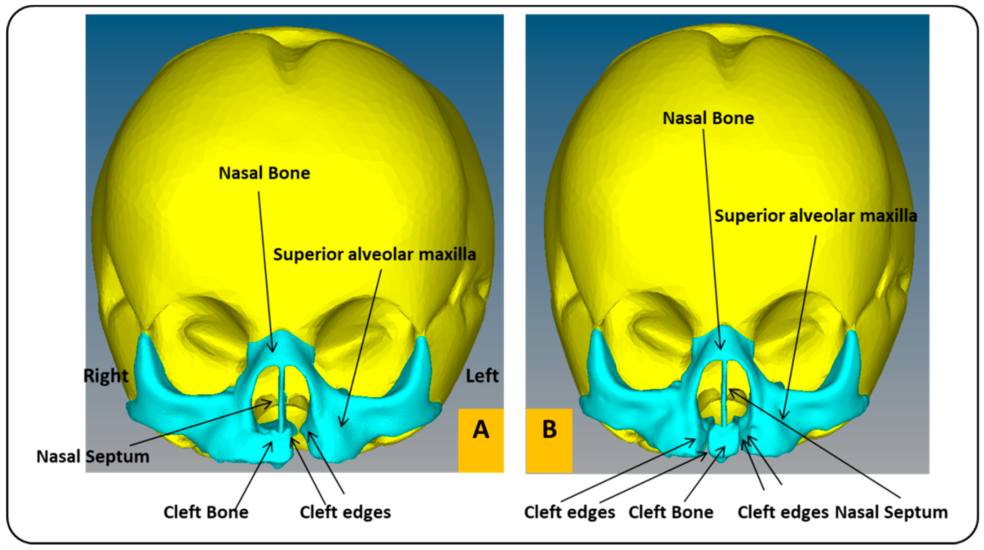Children 08 01121 g002