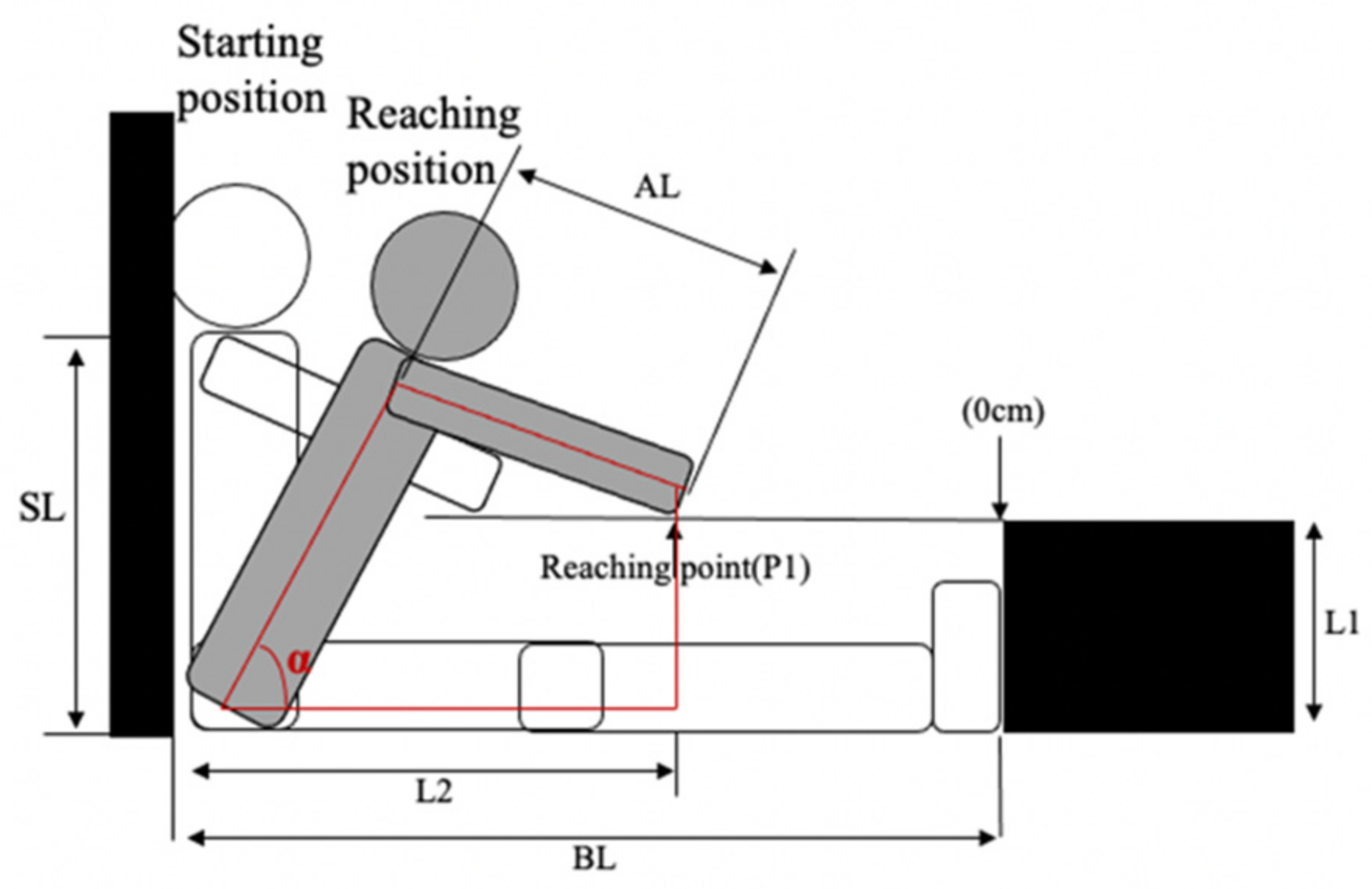 Children 09 00039 g001