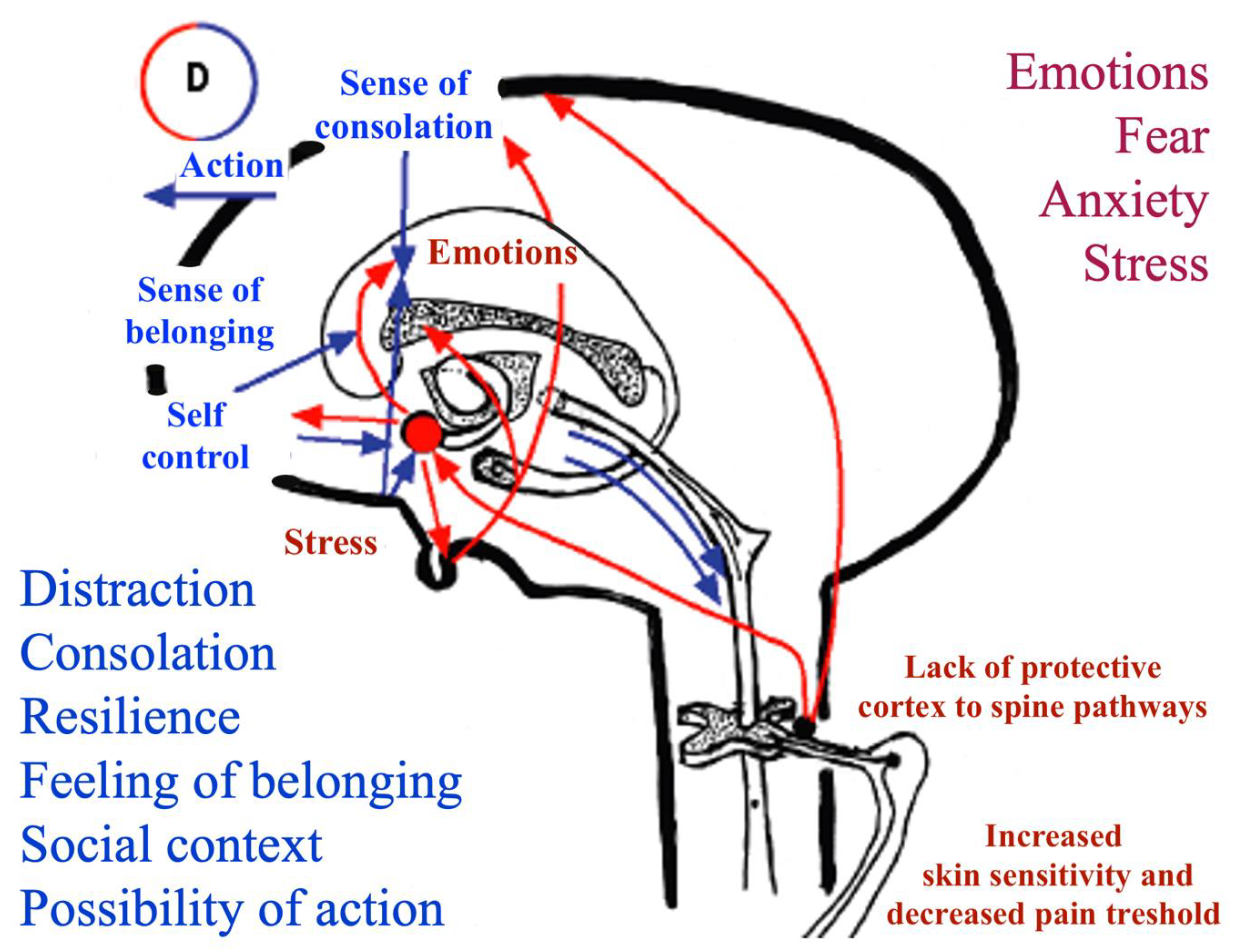 Children 09 00045 g001
