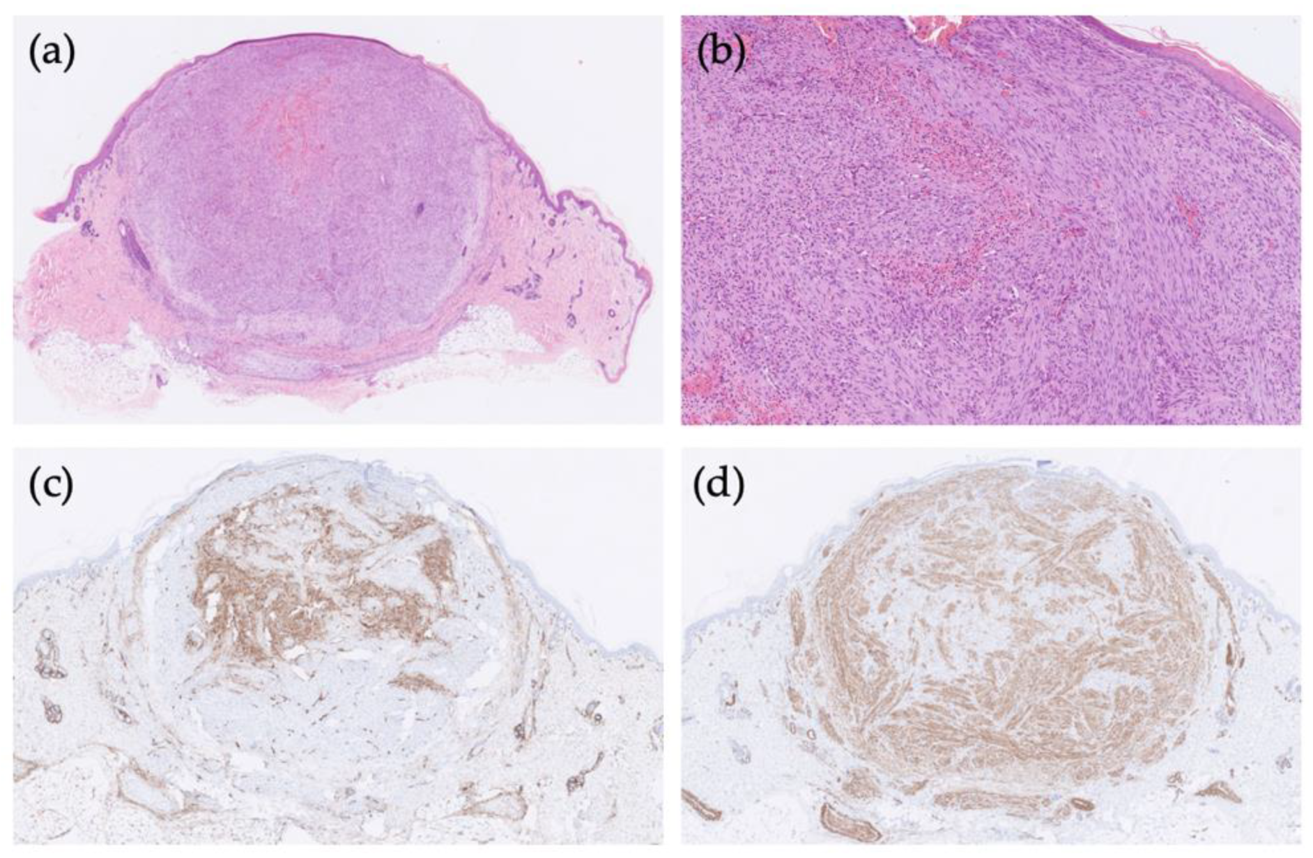 Children 09 00053 g002