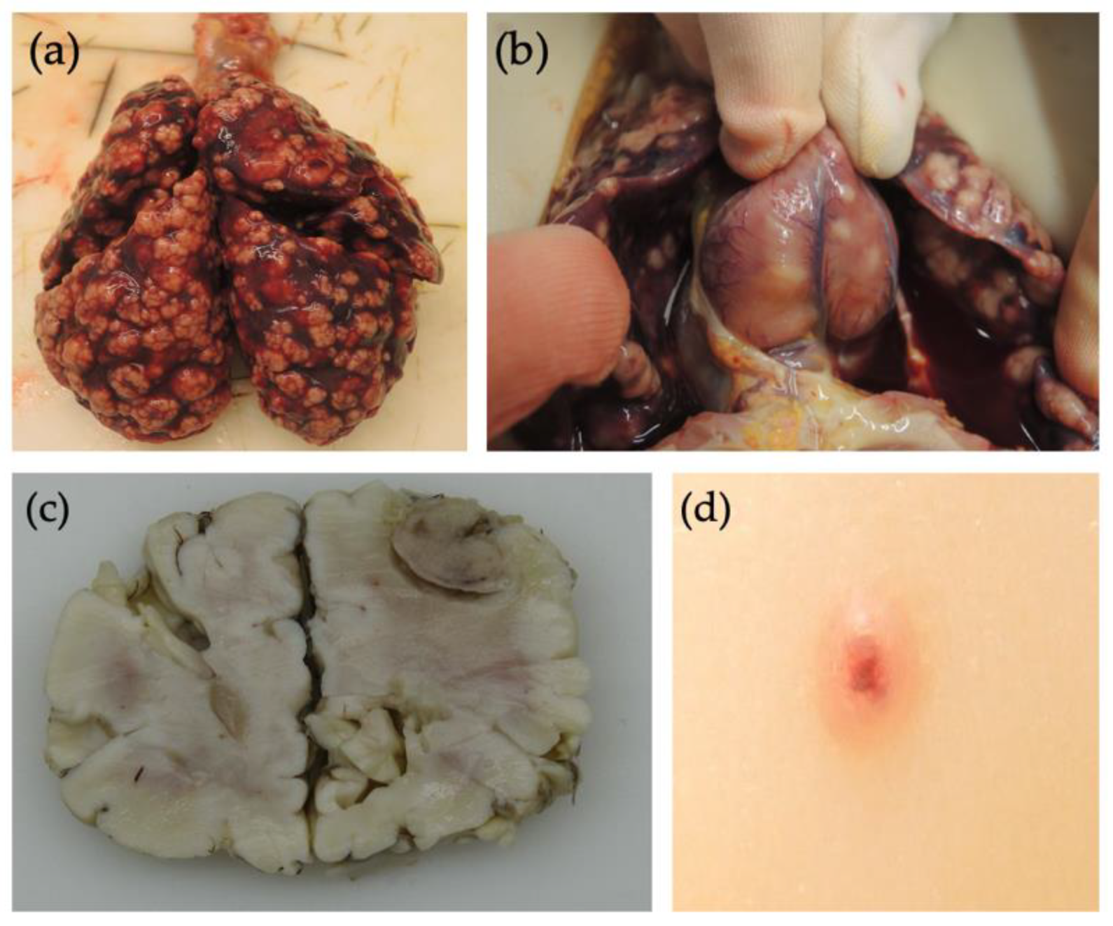 Children 09 00053 g003