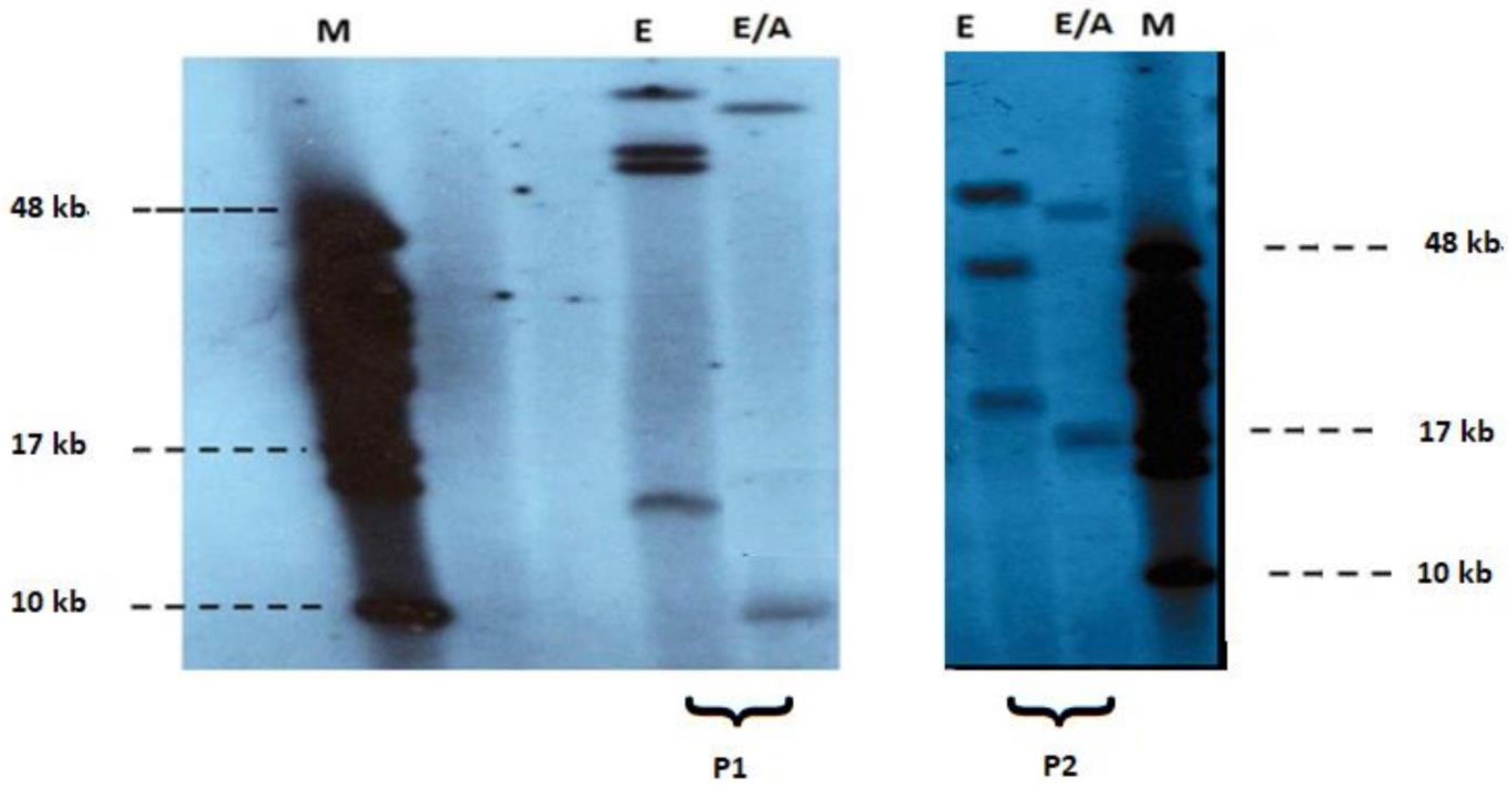 Children 09 00096 g002