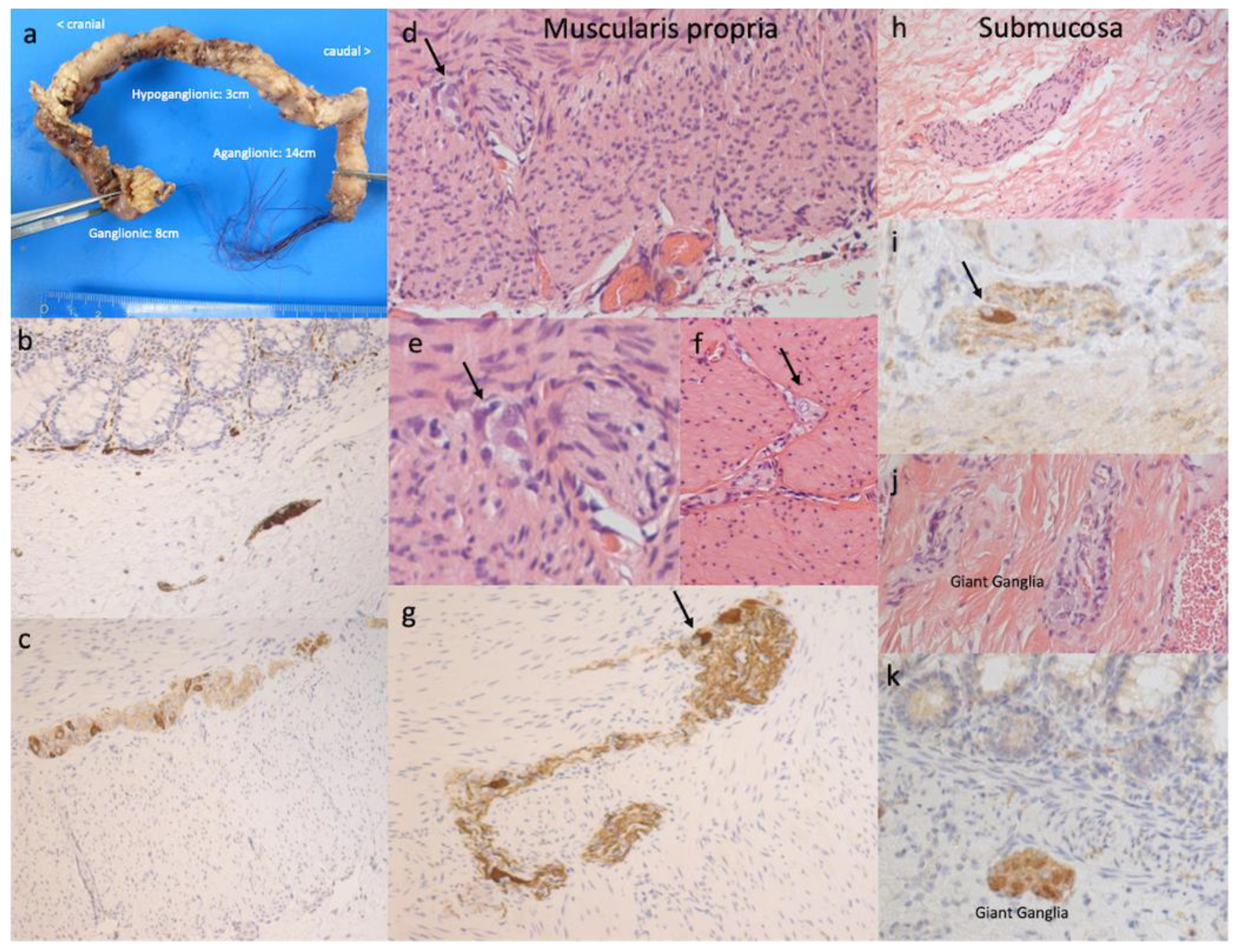 Children 09 00152 g002