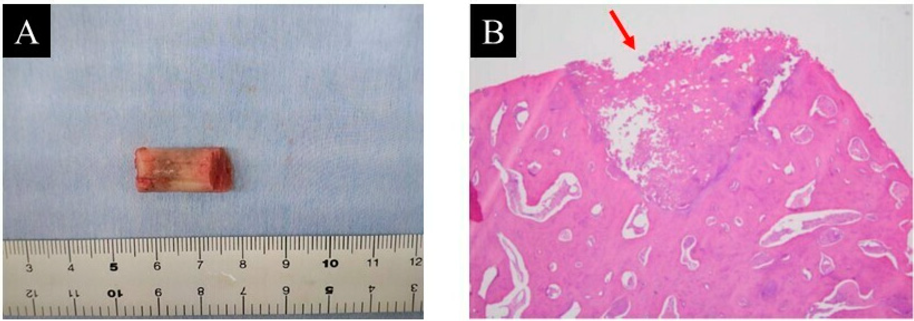 Children 09 00158 g004