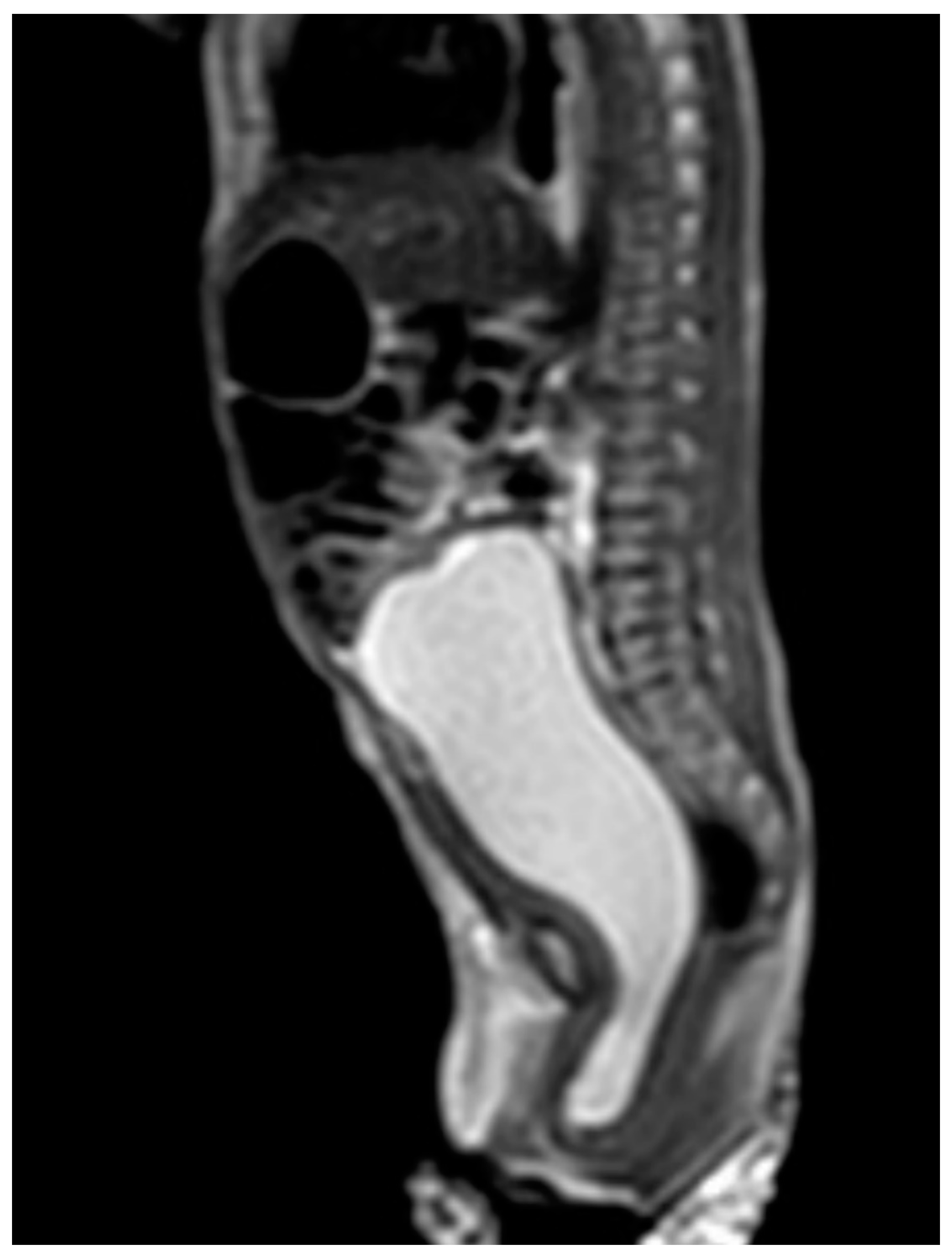 Children 09 00219 g001