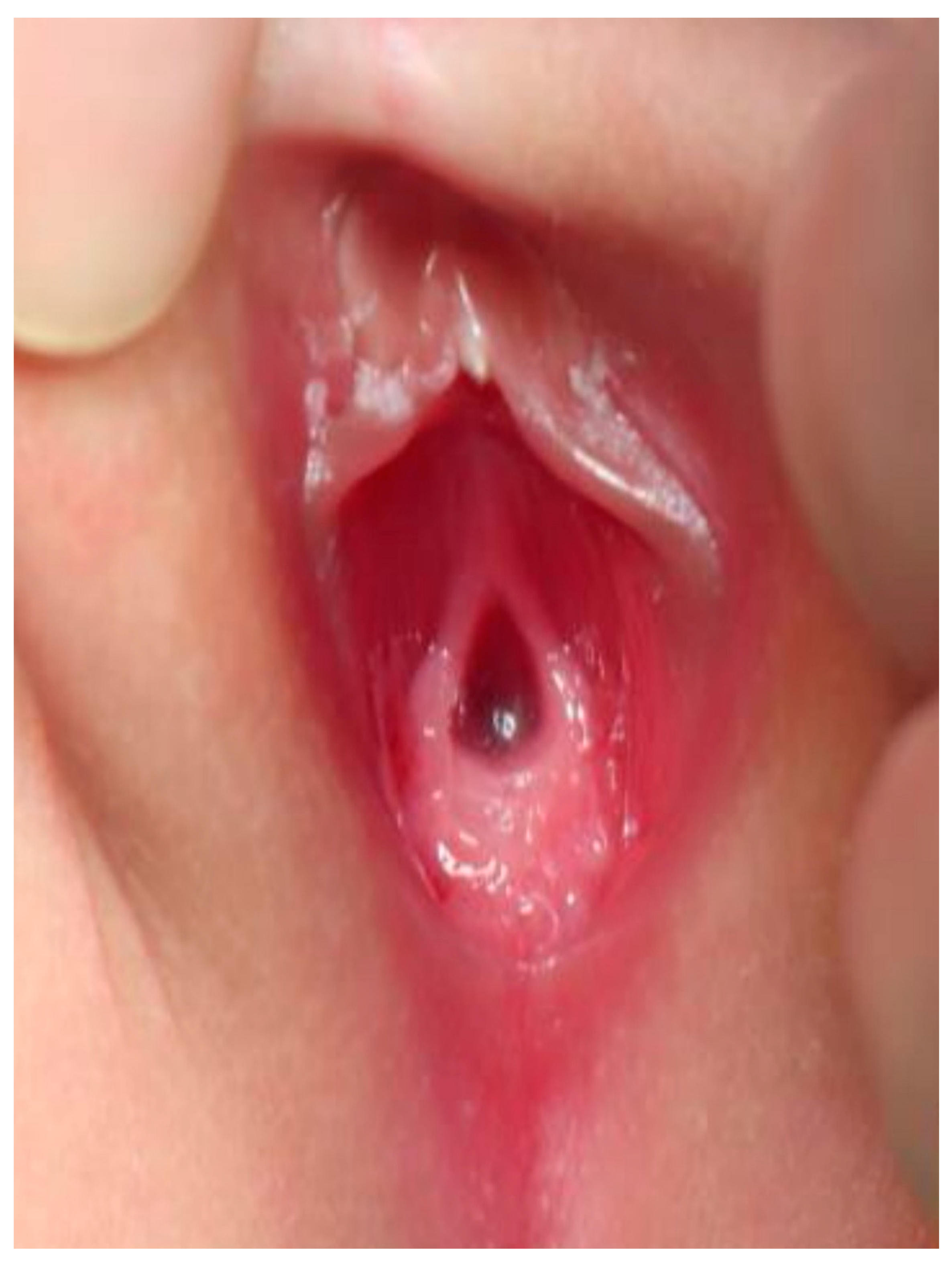 Children 09 00219 g002