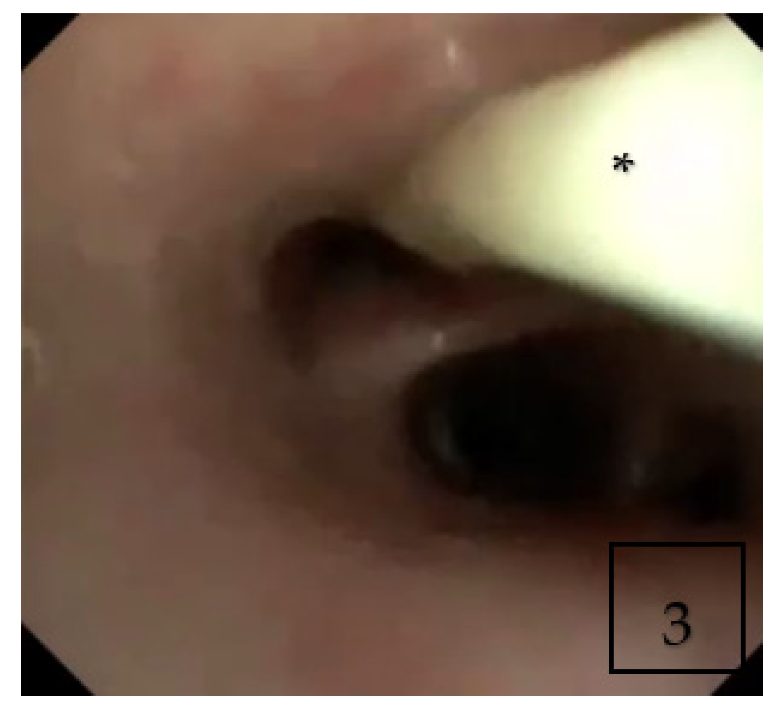 Children 09 00252 g003