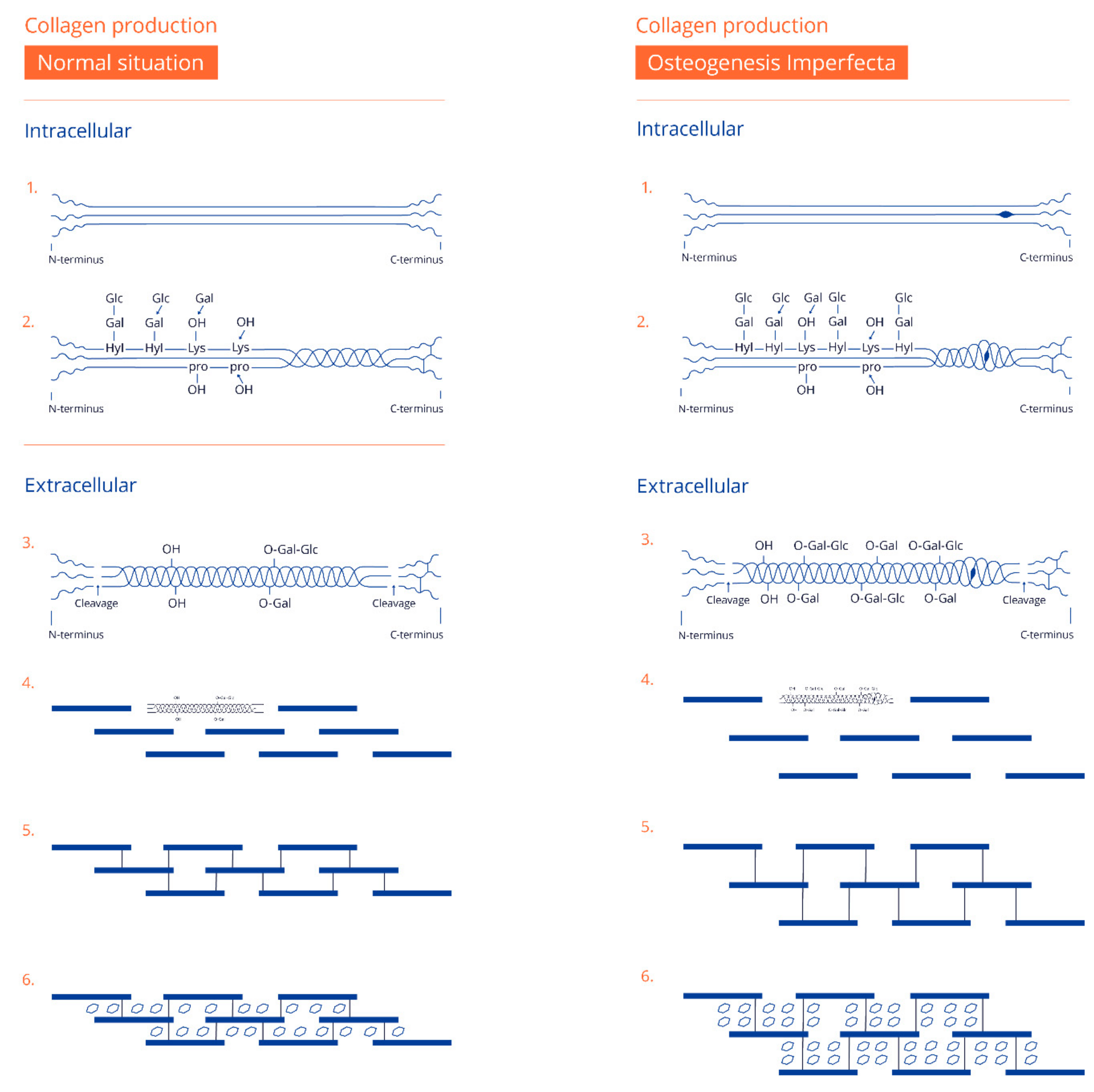 Children 09 00268 g002