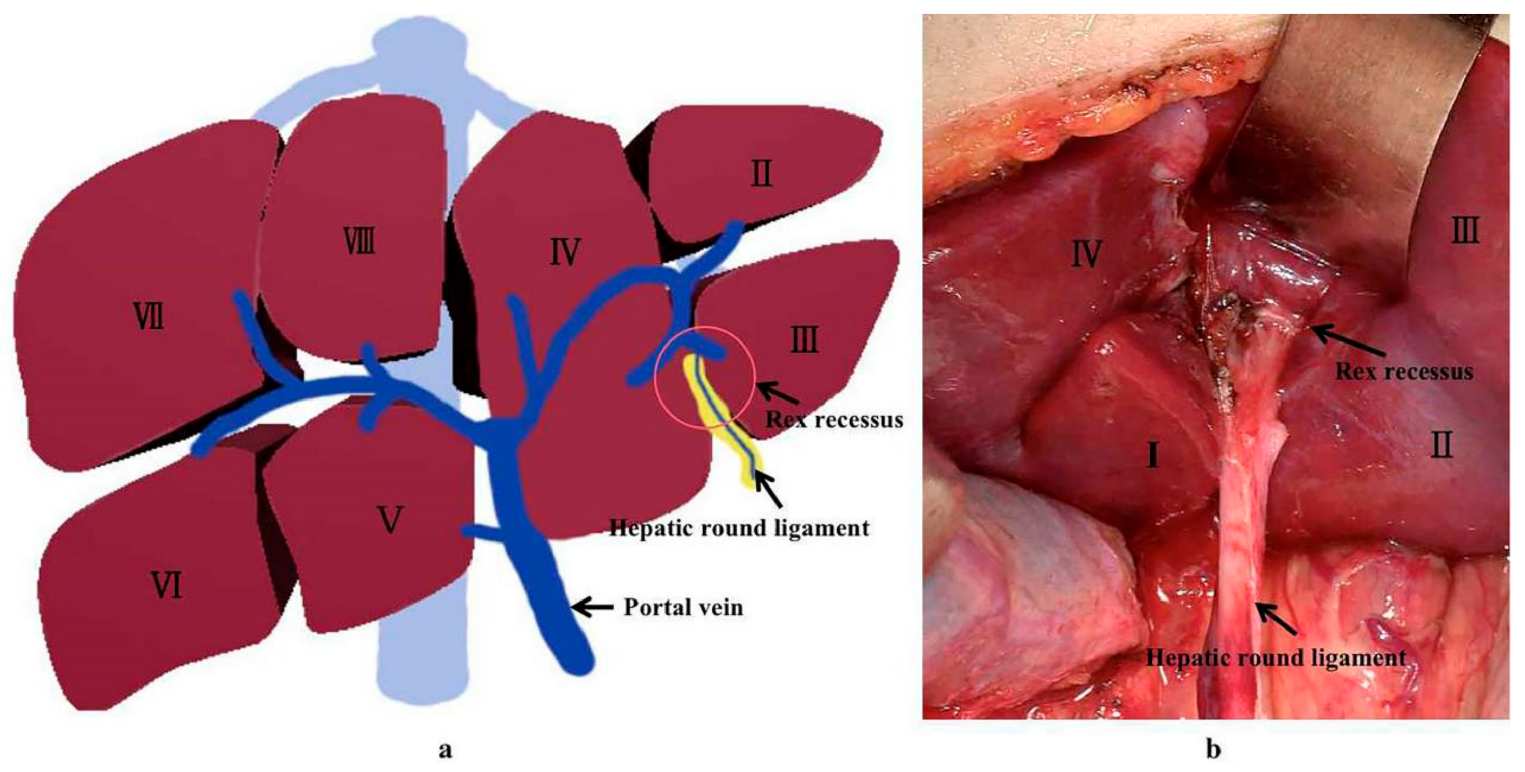 Children 09 00297 g001