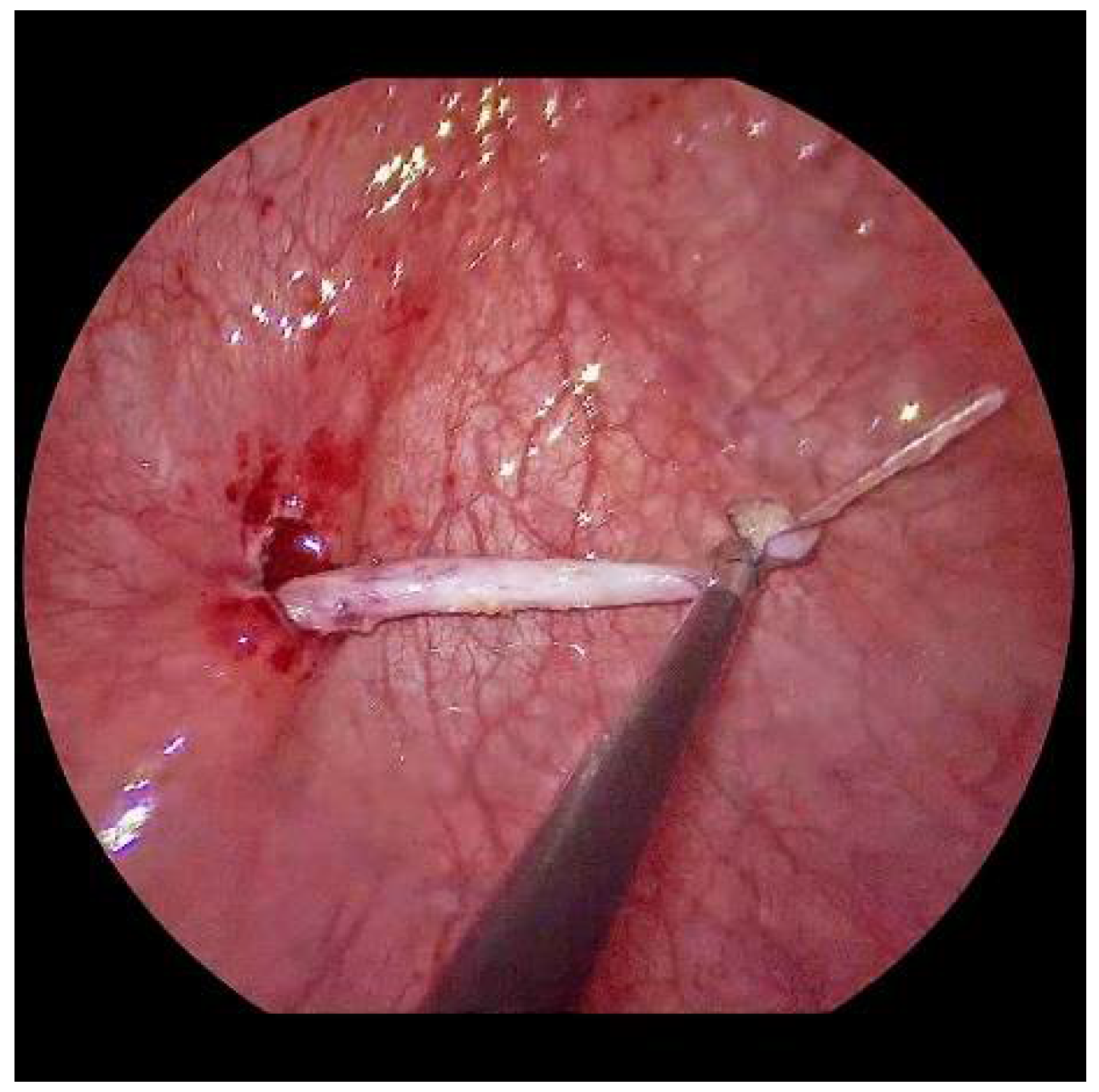 Children 09 00298 g004