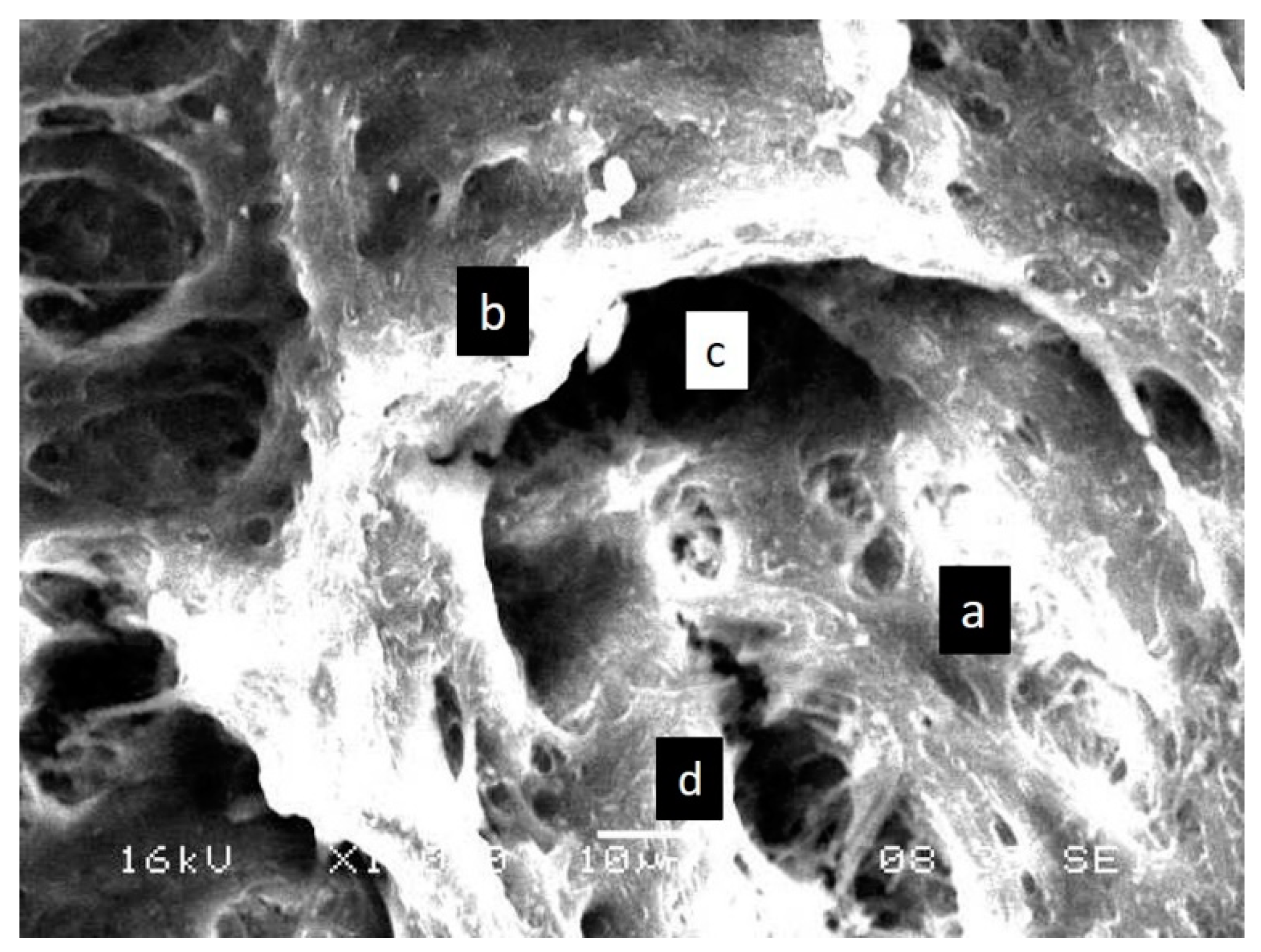 Children 09 00317 g003