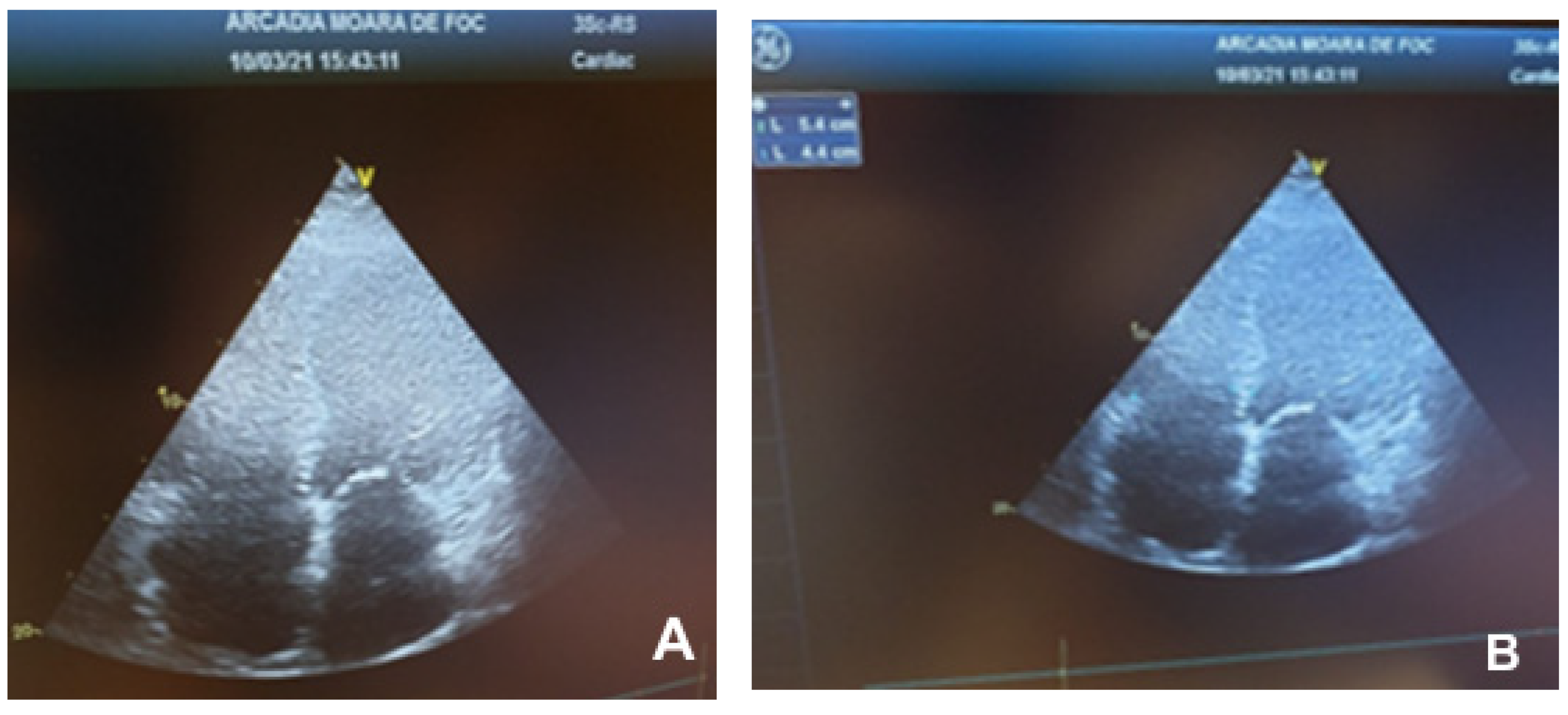 Children 09 00335 g001 Children 09 00335 g001