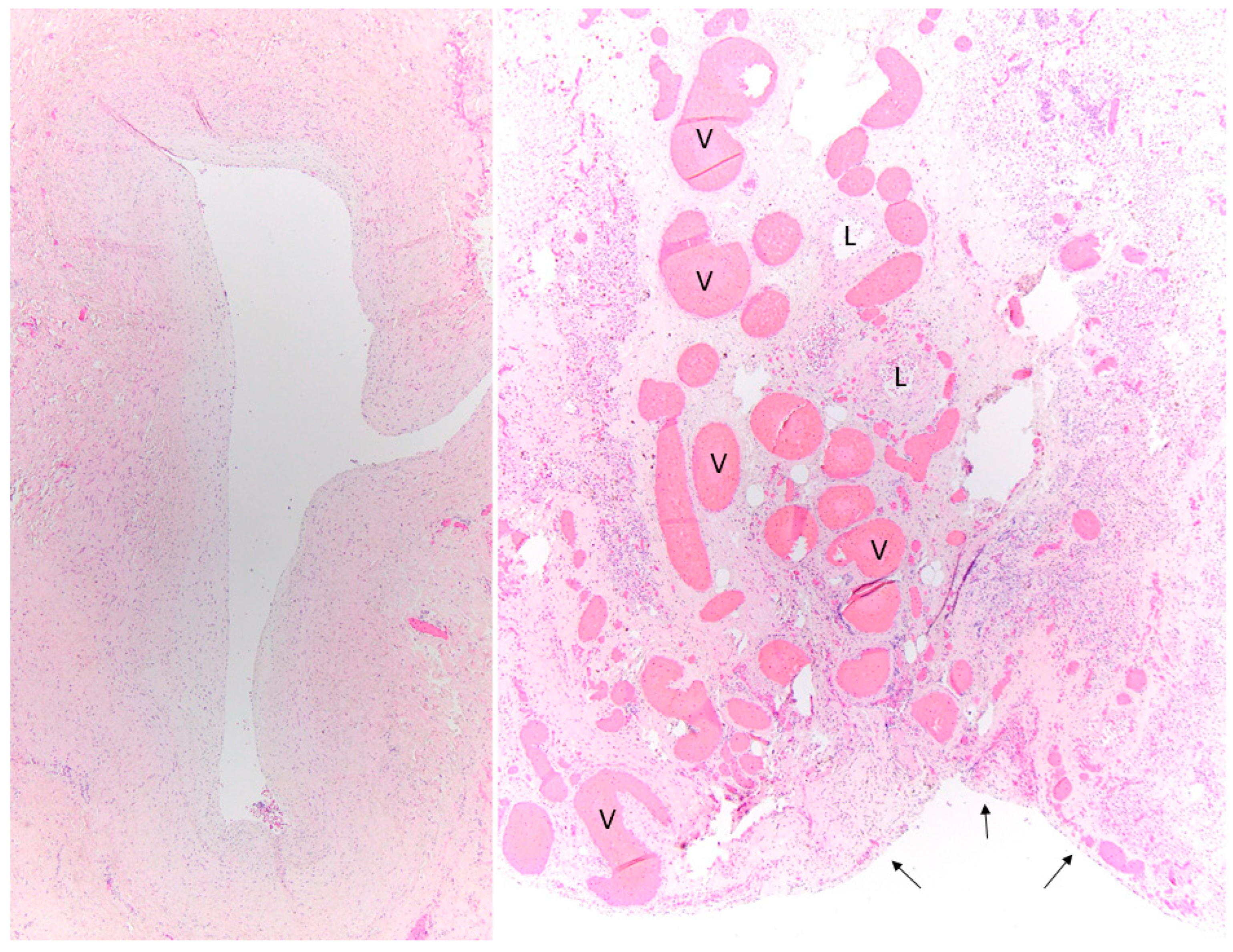 Children 09 00355 g002