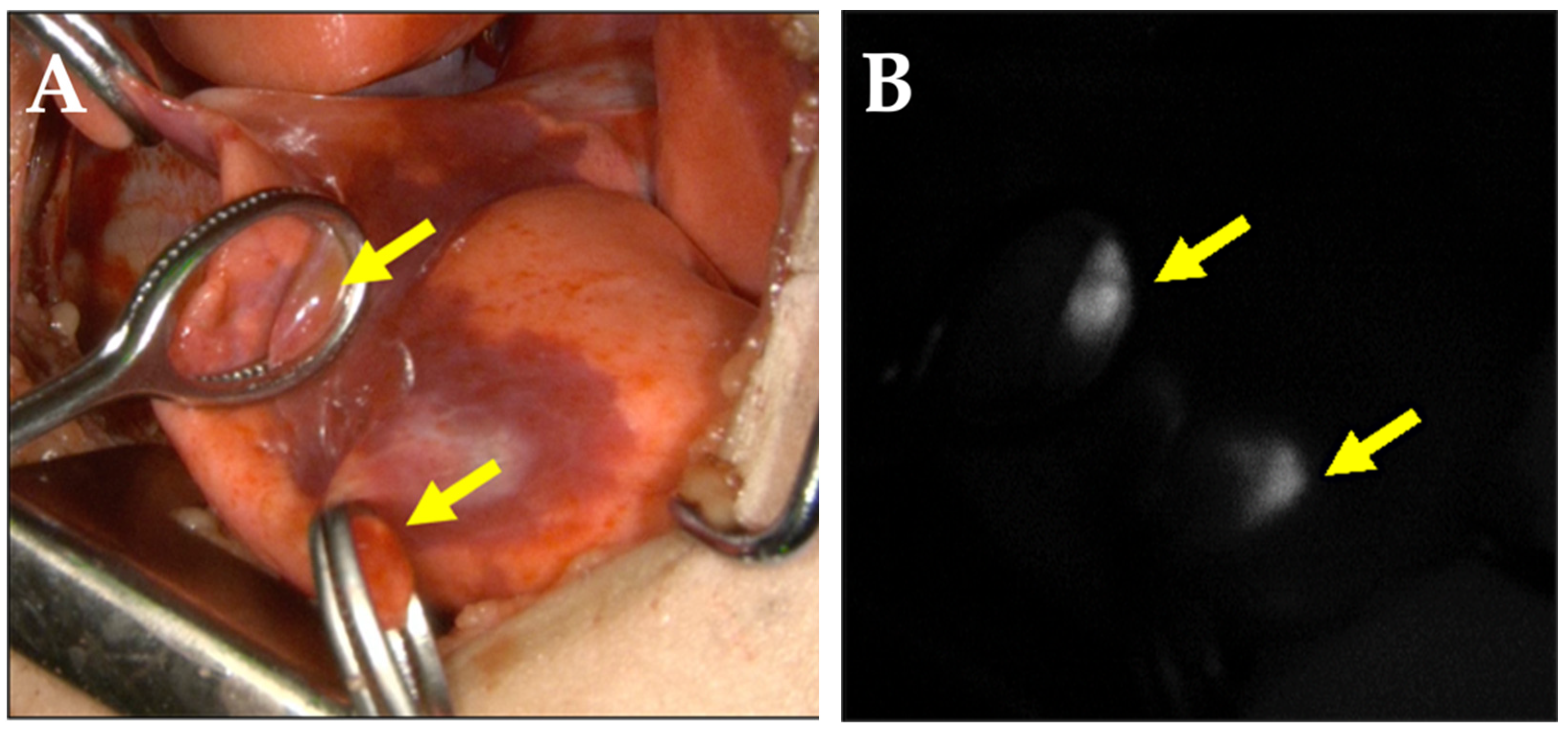 Children 09 00376 g003