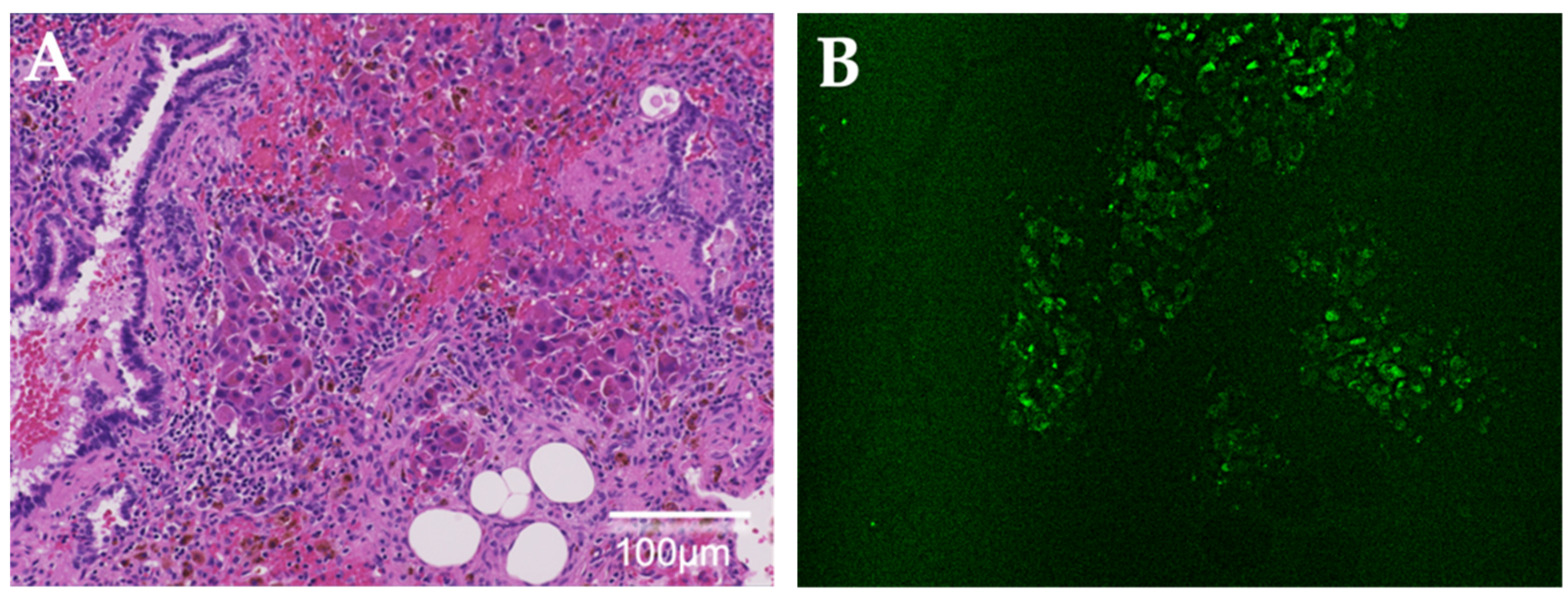 Children 09 00376 g004