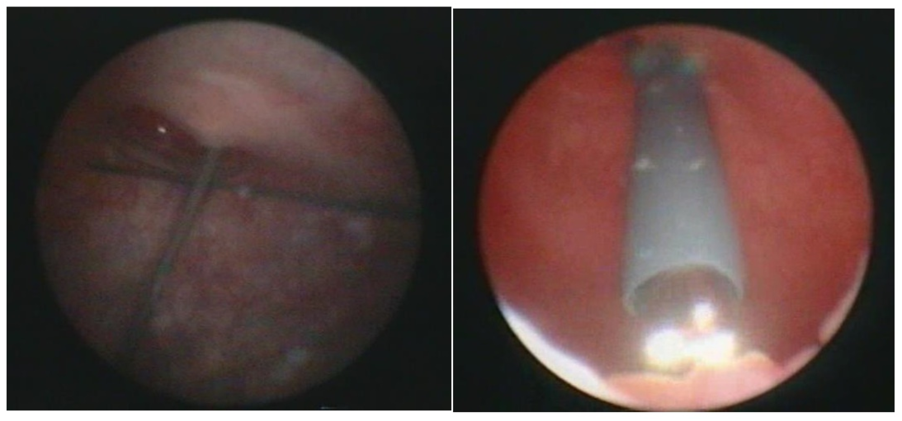 Children 09 00449 g003