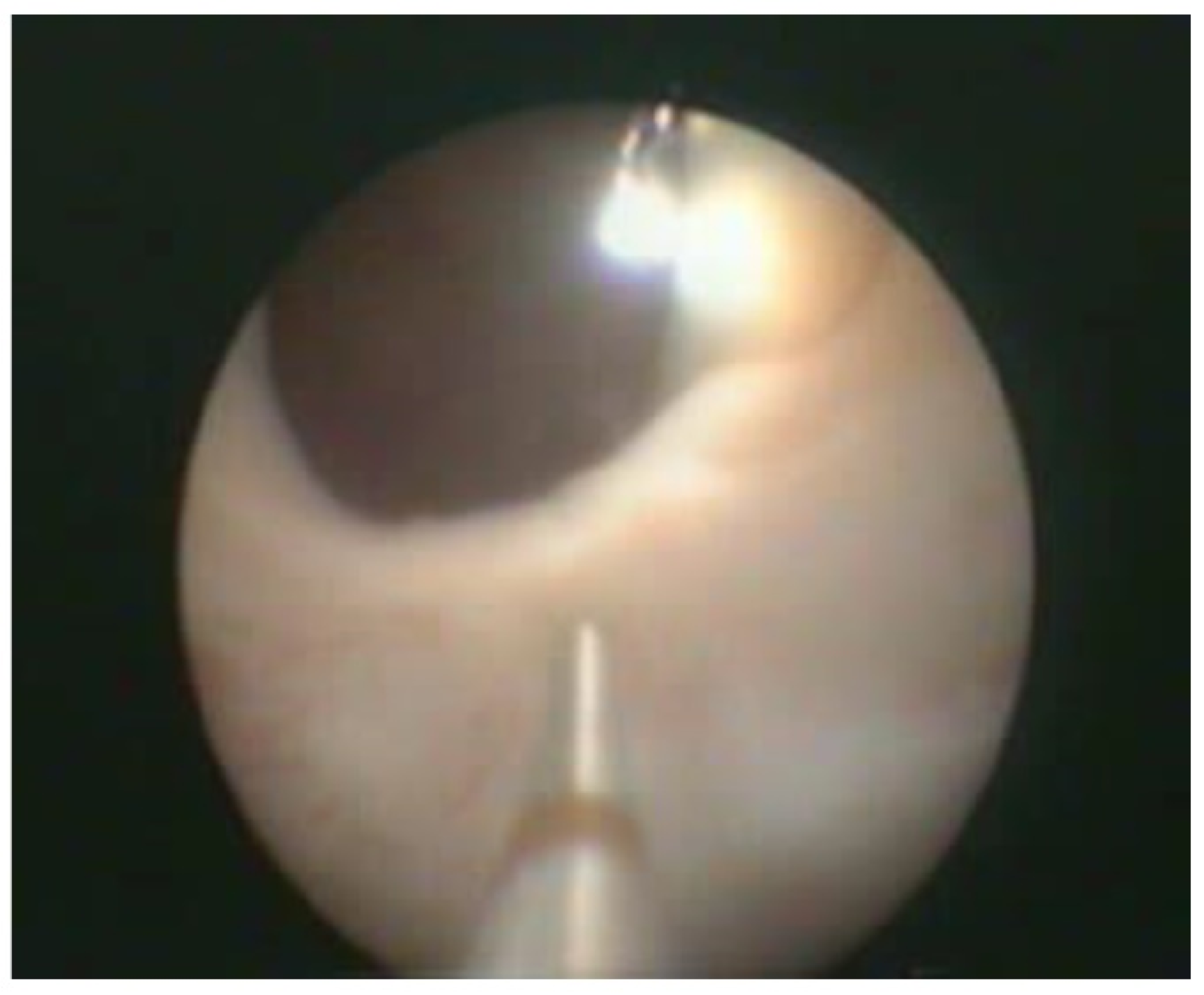 Children 09 00449 g004