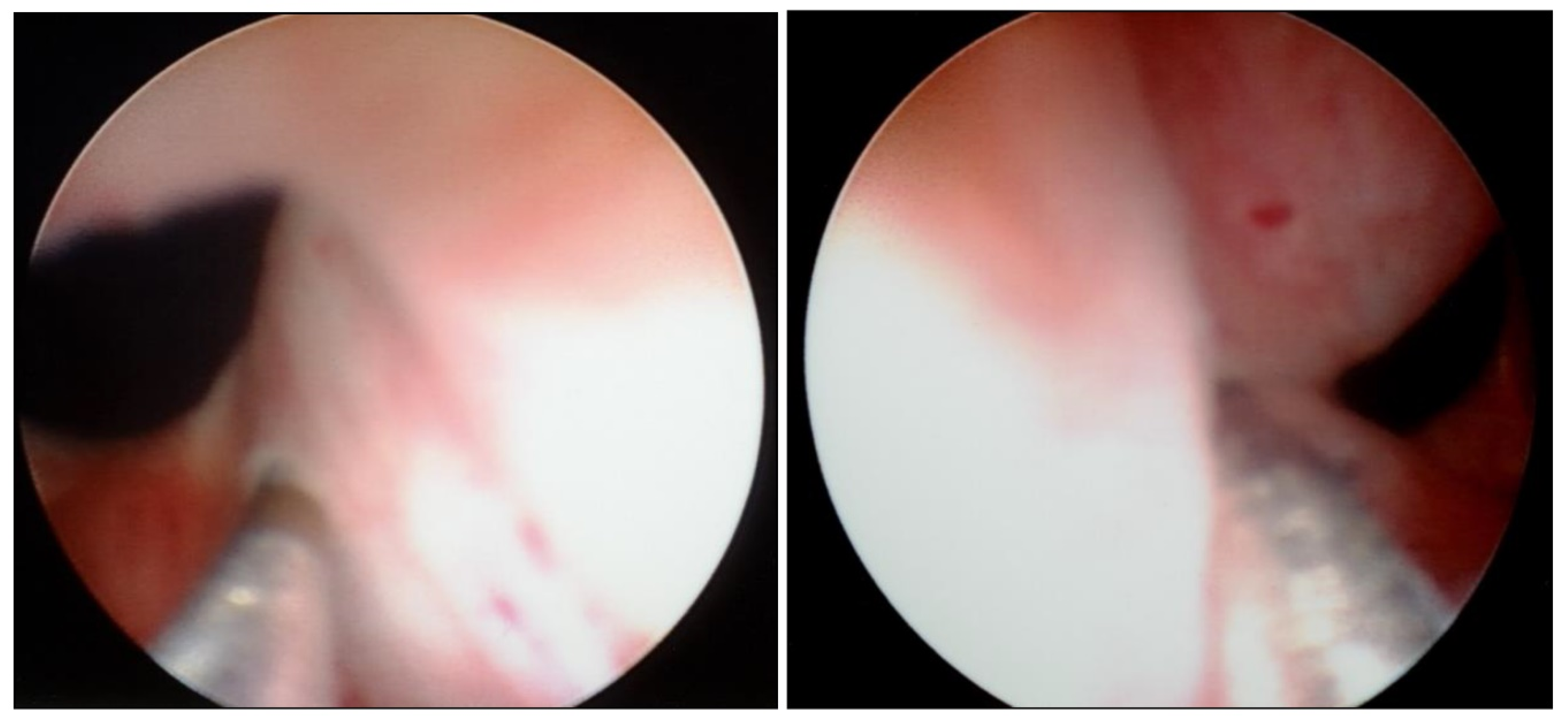 Children 09 00449 g006