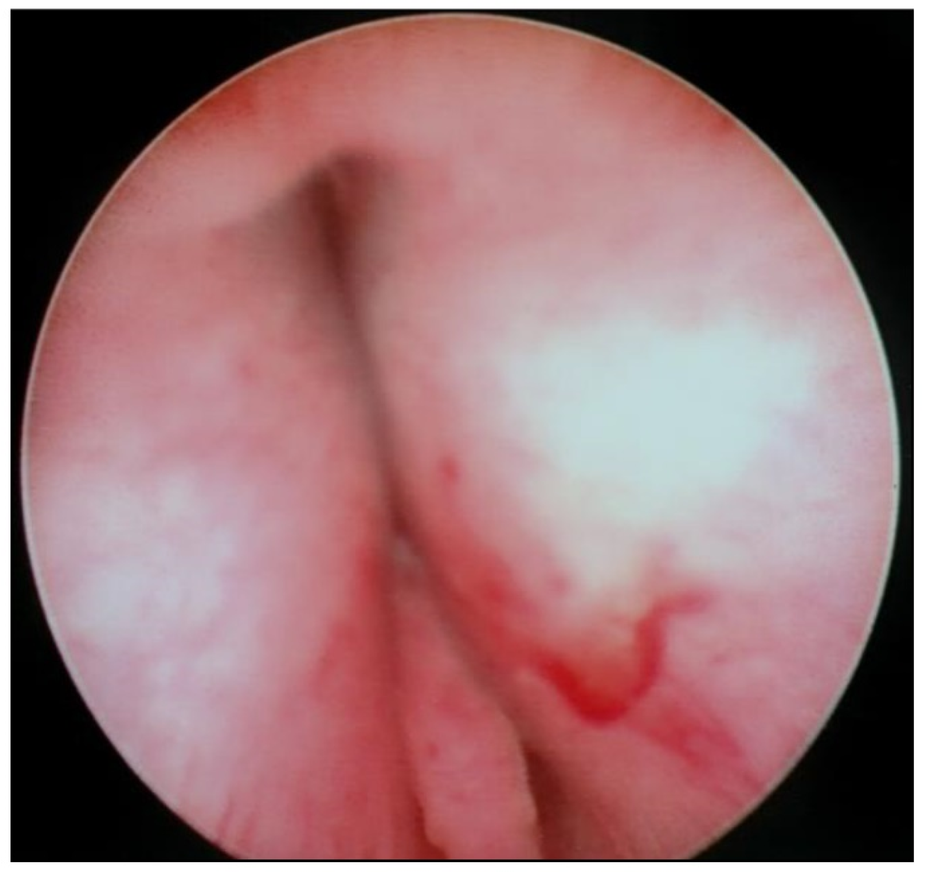 Children 09 00449 g007