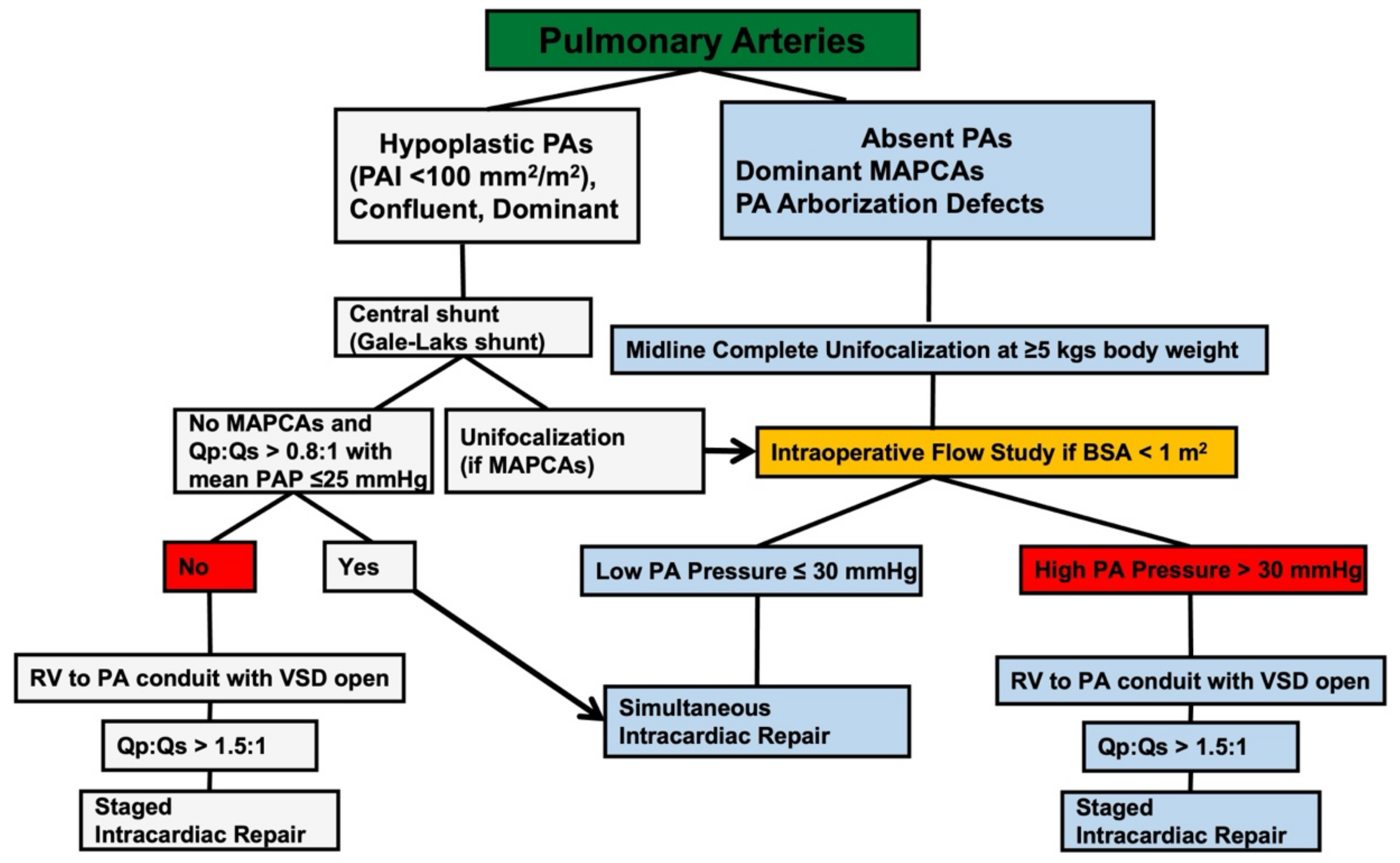 Children 09 00515 g001