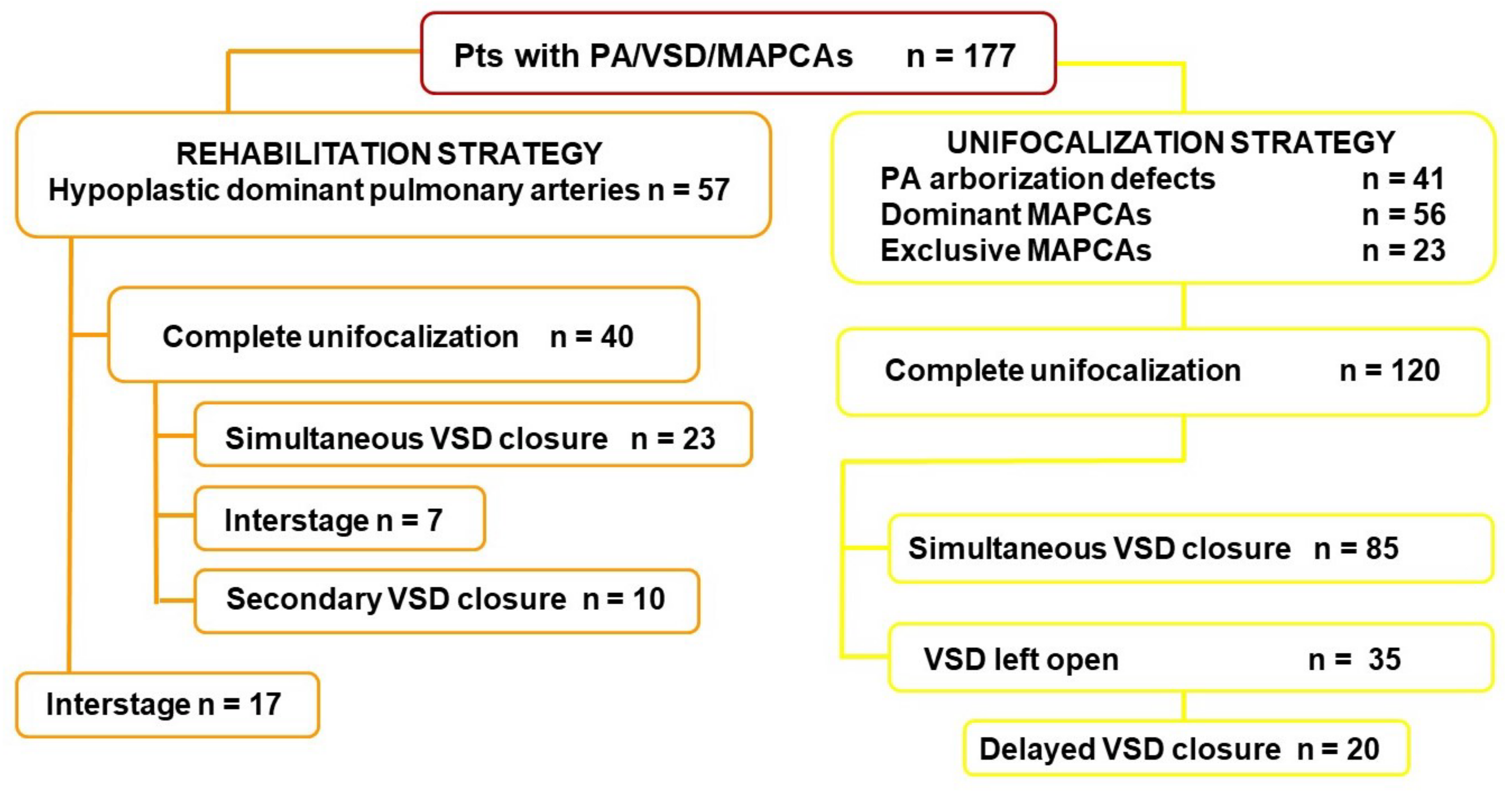 Children 09 00515 g002