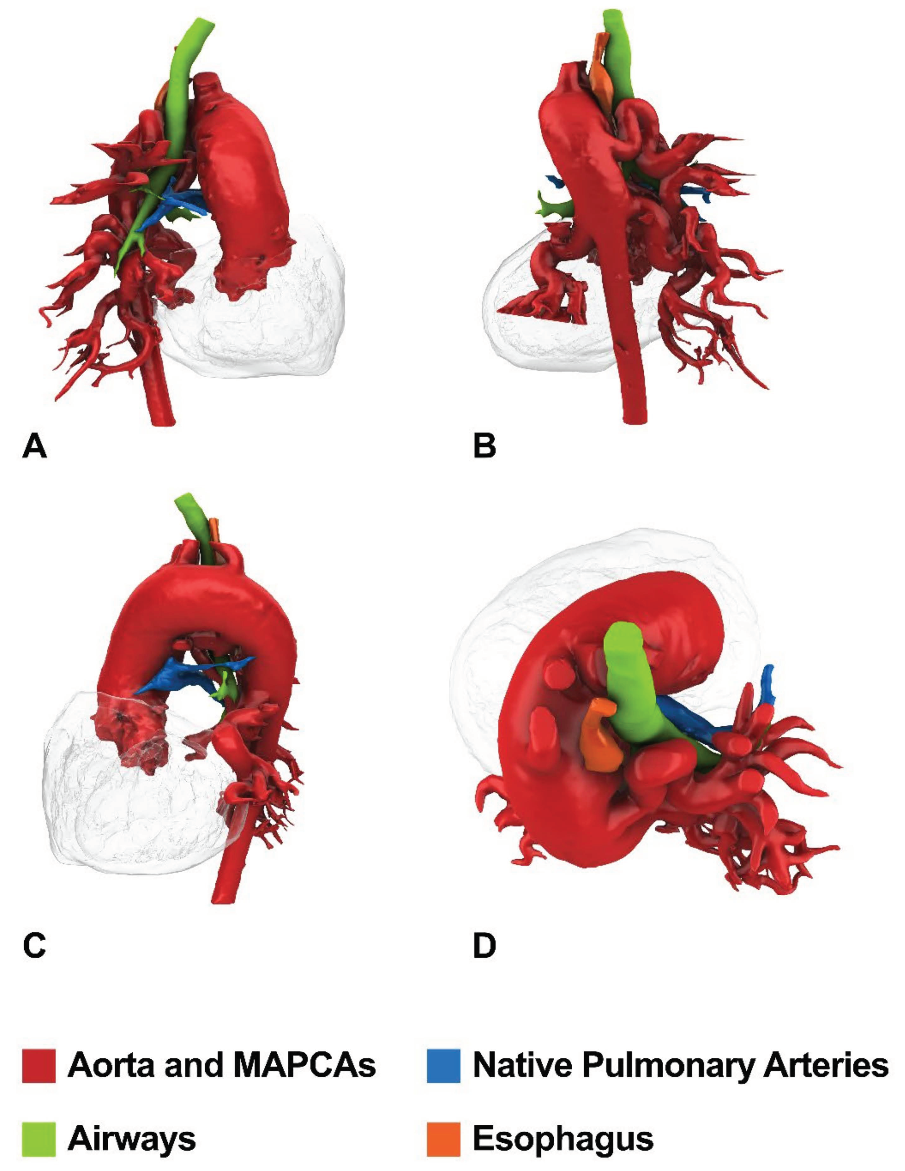 Children 09 00515 g005