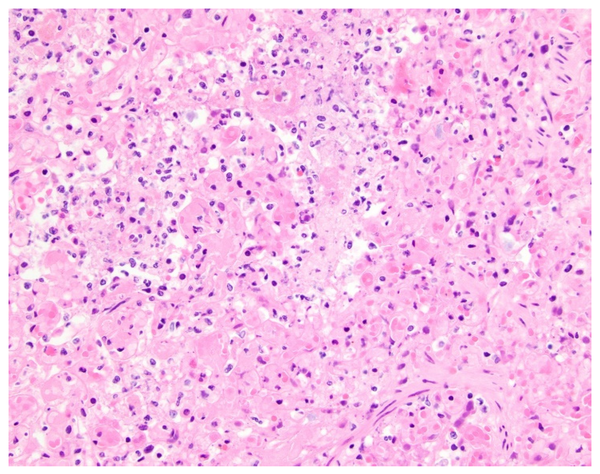 Children 09 00543 g002