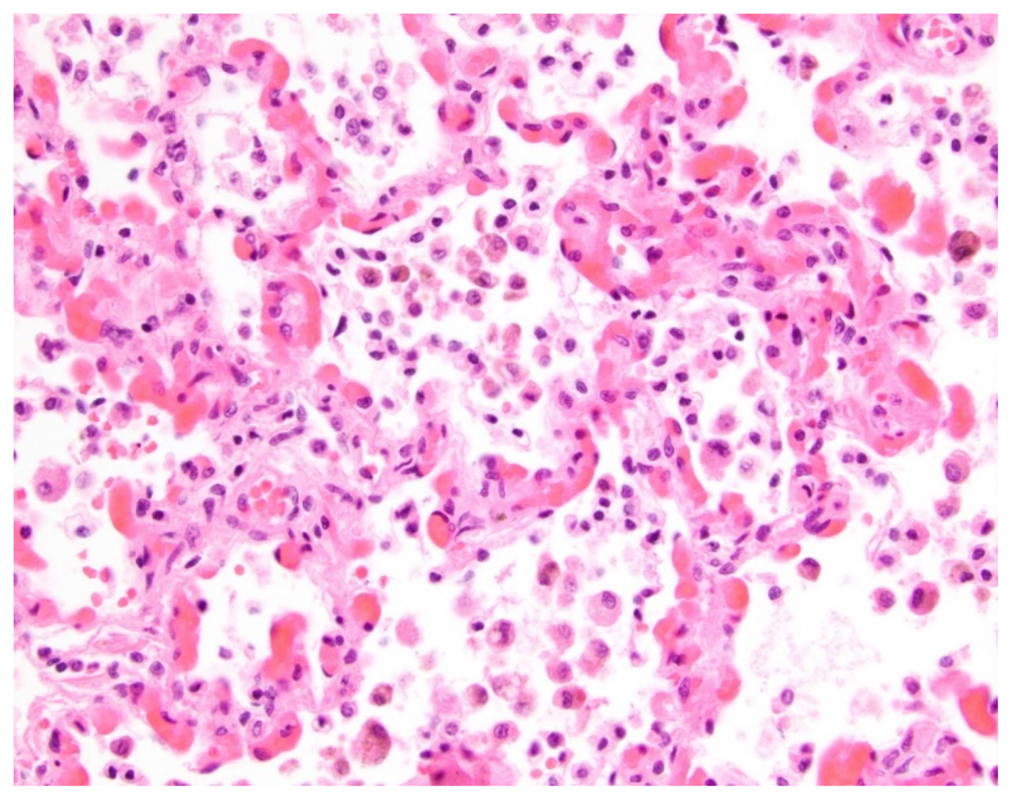 Children 09 00543 g004