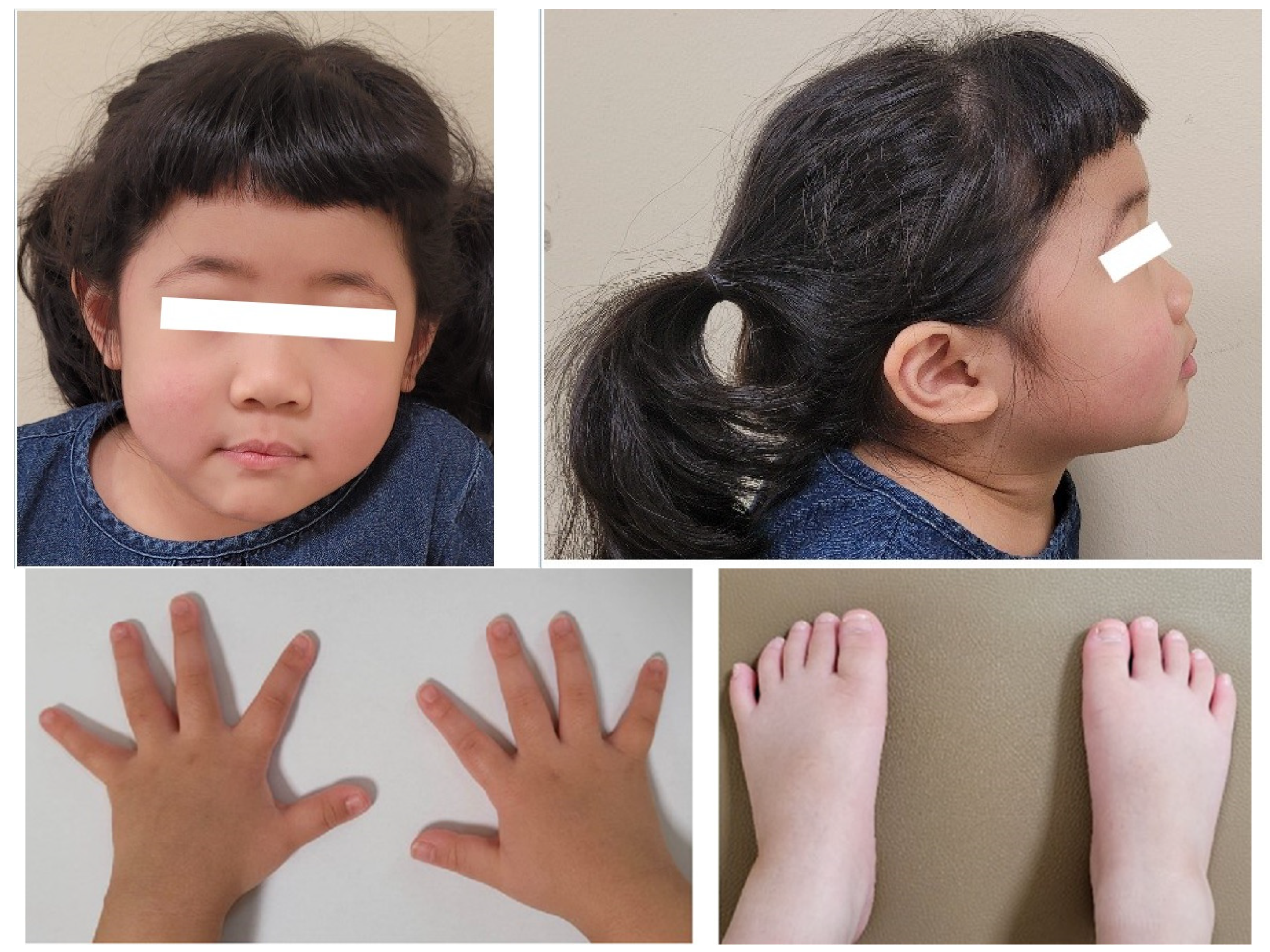 Children 09 00547 g001