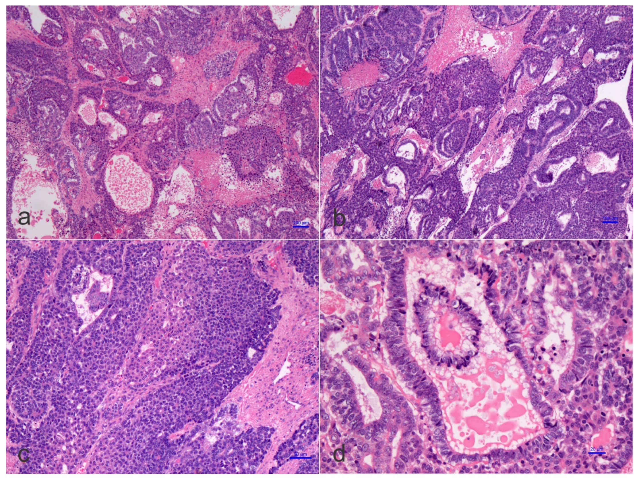 Children 09 00565 g003