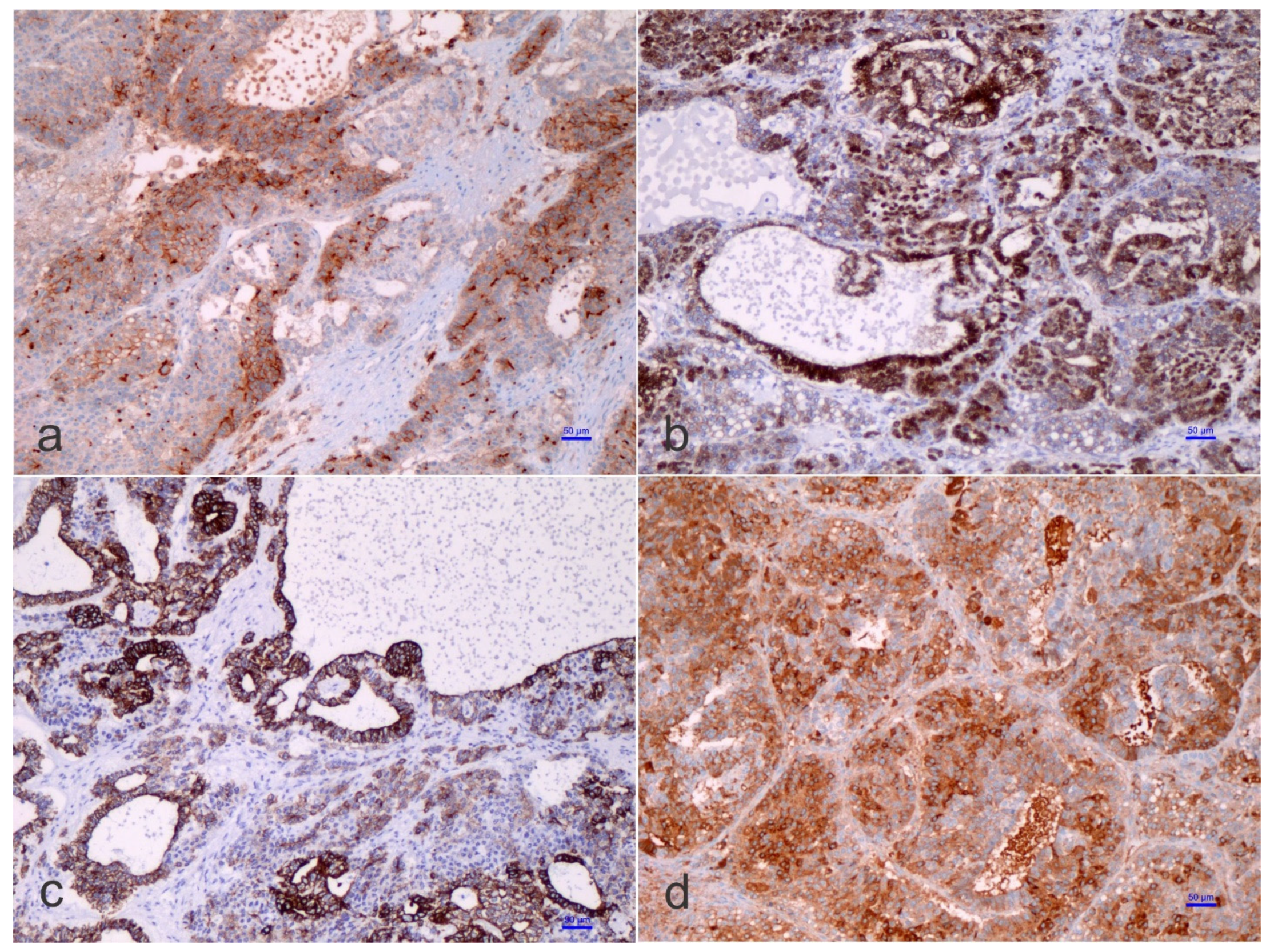 Children 09 00565 g004