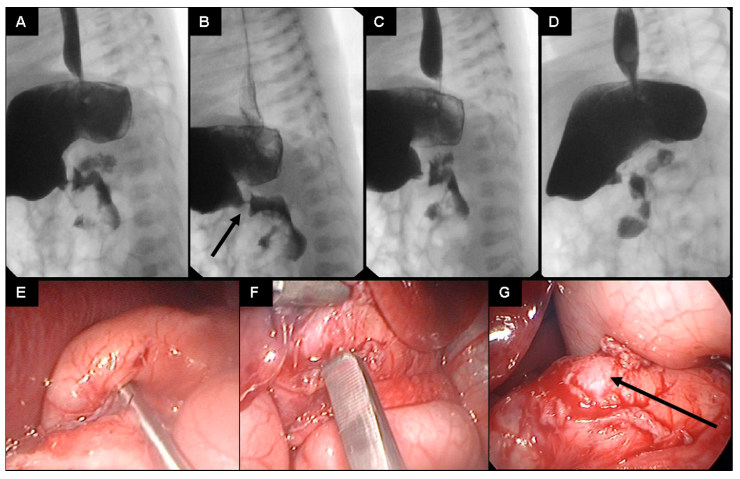 Children 09 00573 g002