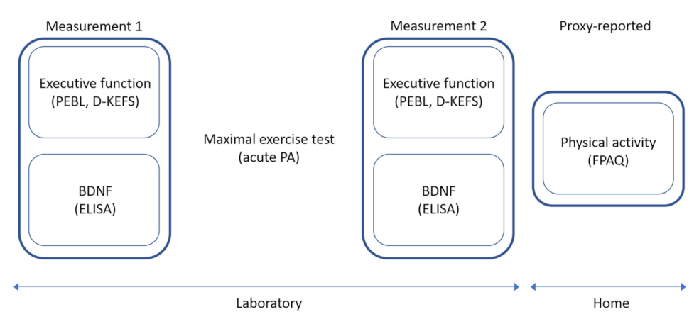 Children 09 00596 g001