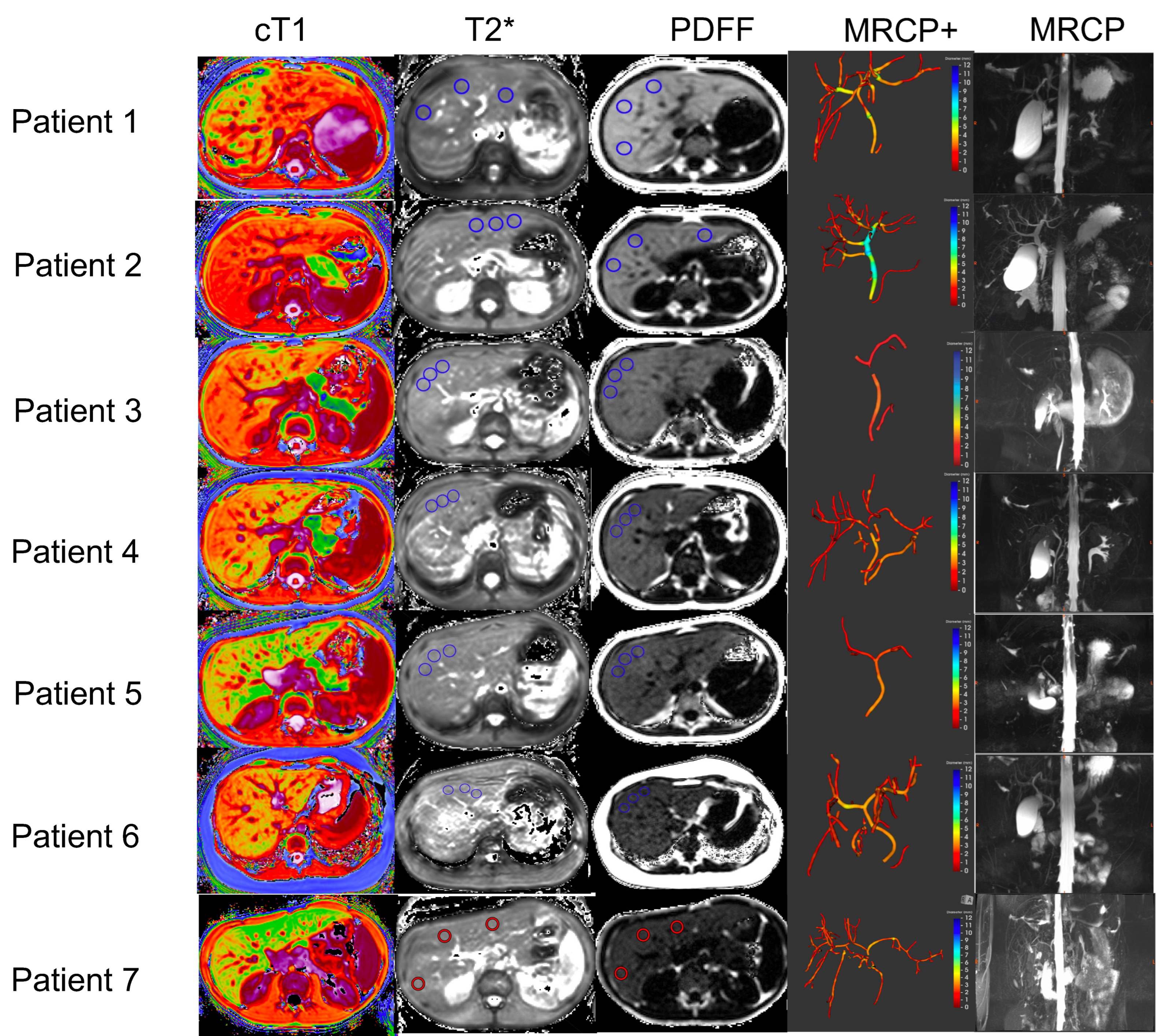 Children 09 00613 g001 Children 09 00613 g001