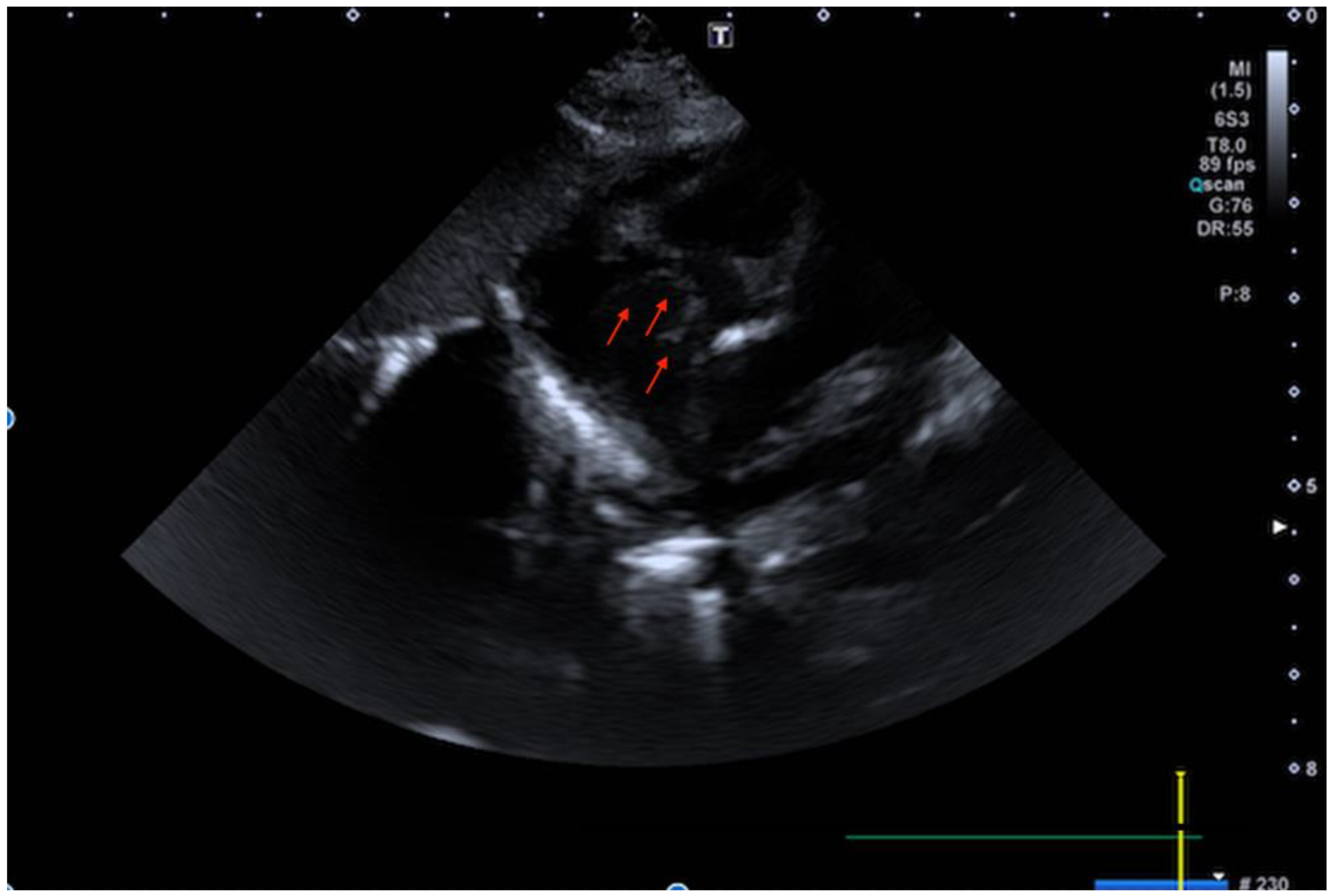 Children 09 00676 g001