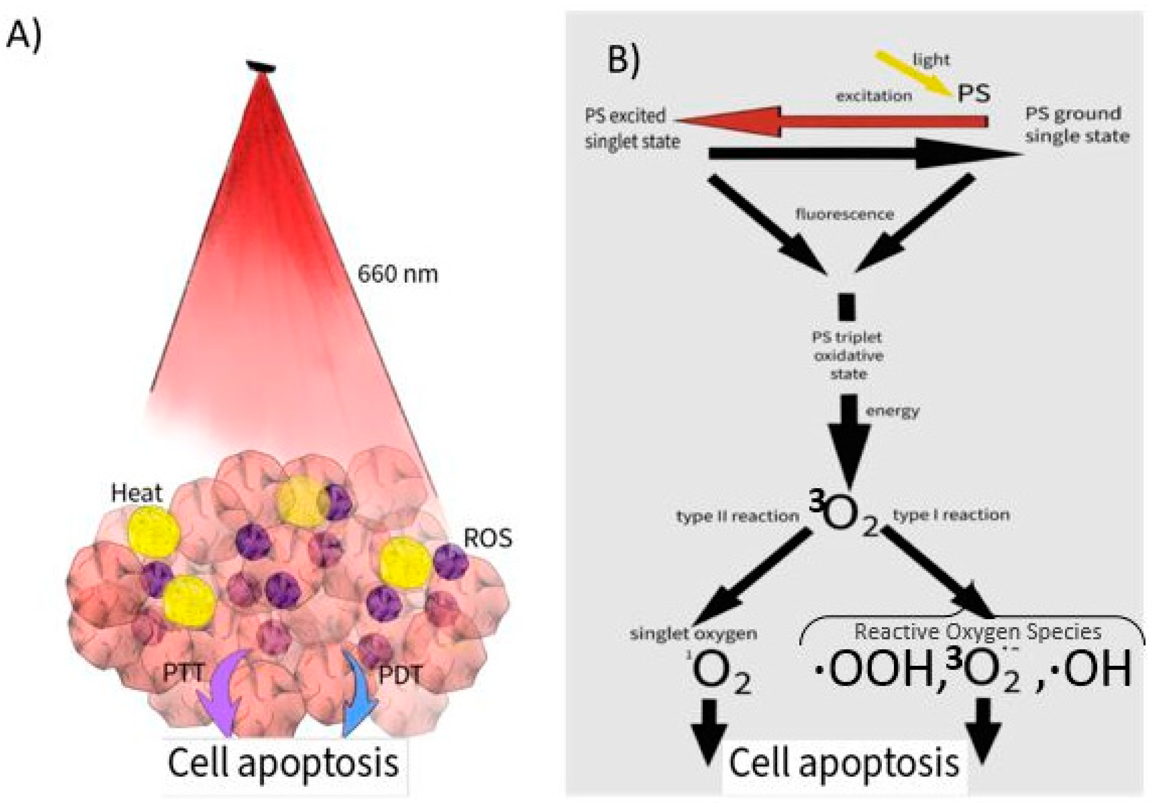 Children 09 00695 g001