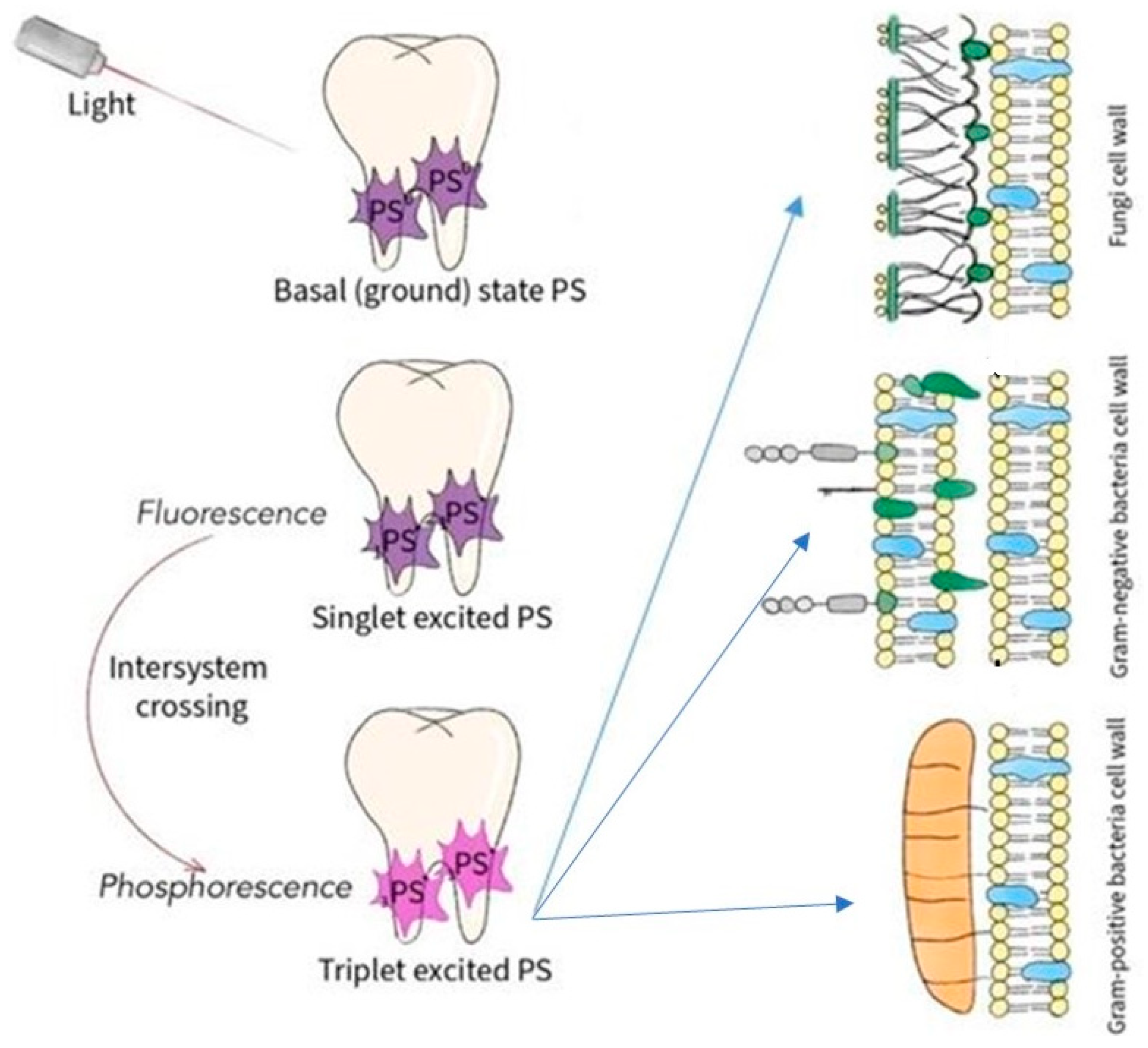Children 09 00695 g002