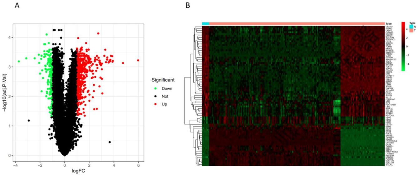 Children 09 00697 g001