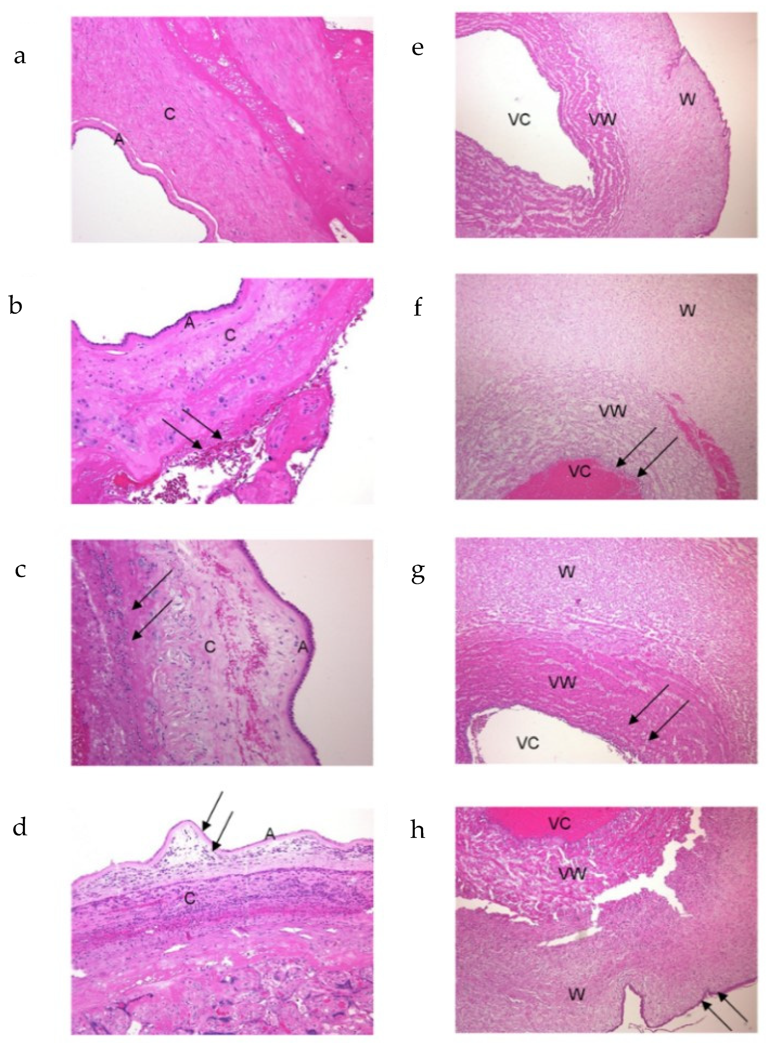 Children 09 00702 g001