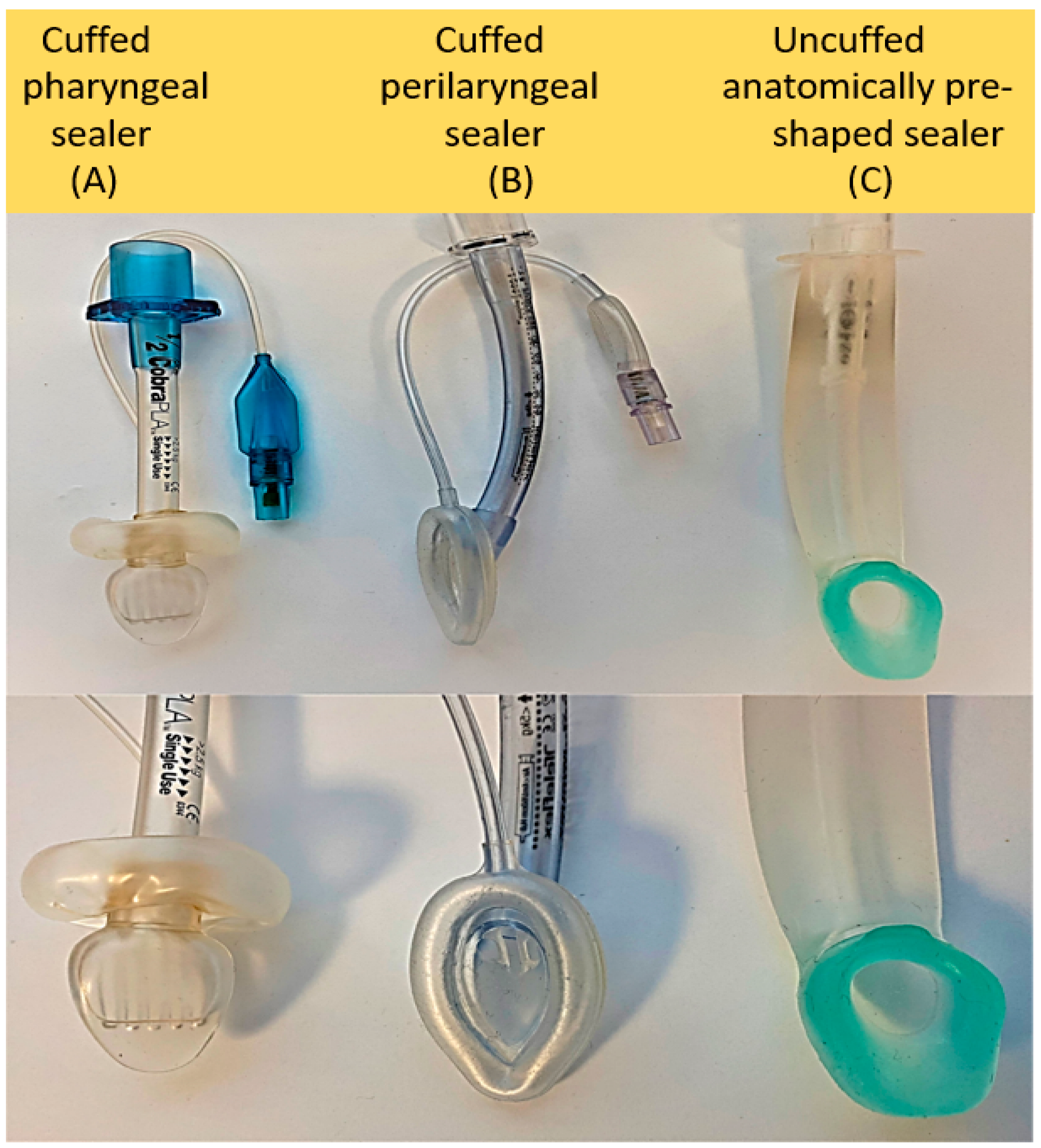 Children 09 00733 g001