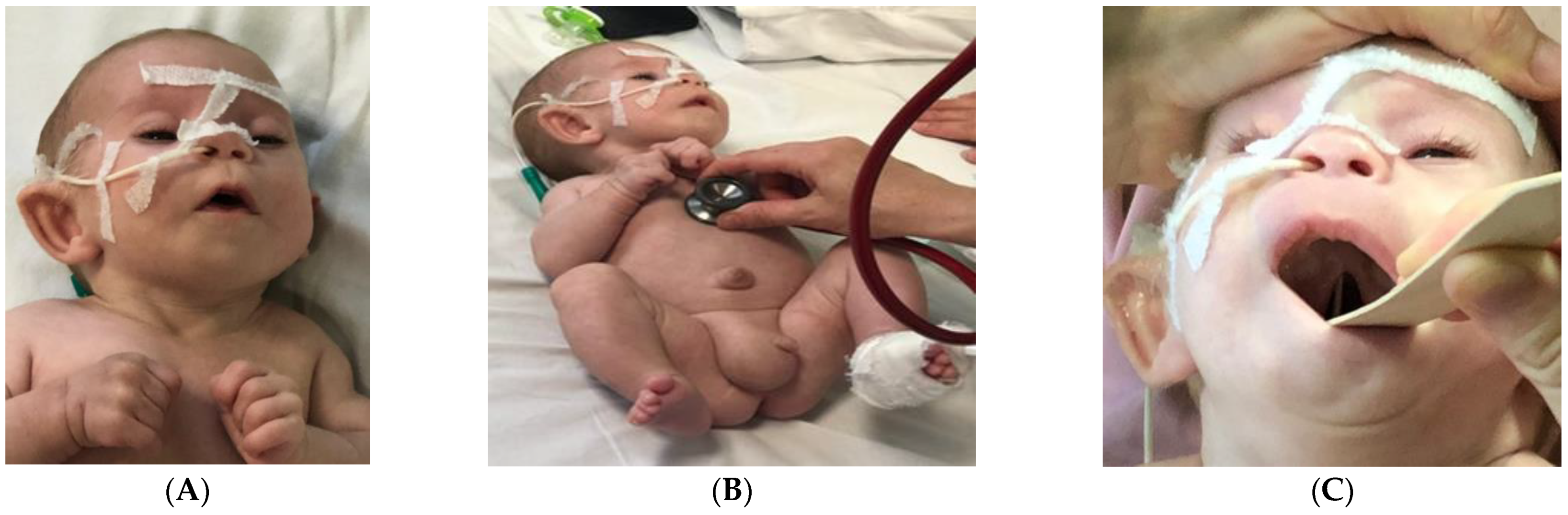 Children 09 00759 g002 Children 09 00759 g002