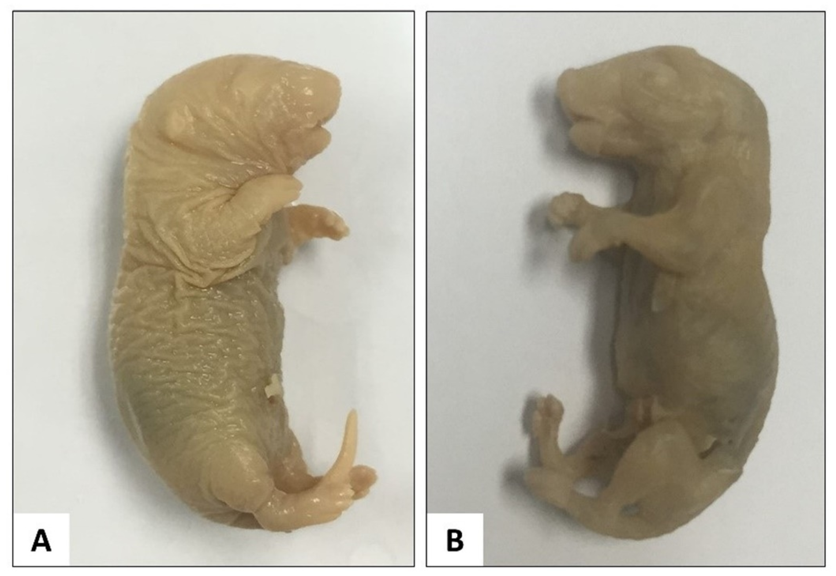 Children 09 00763 g001