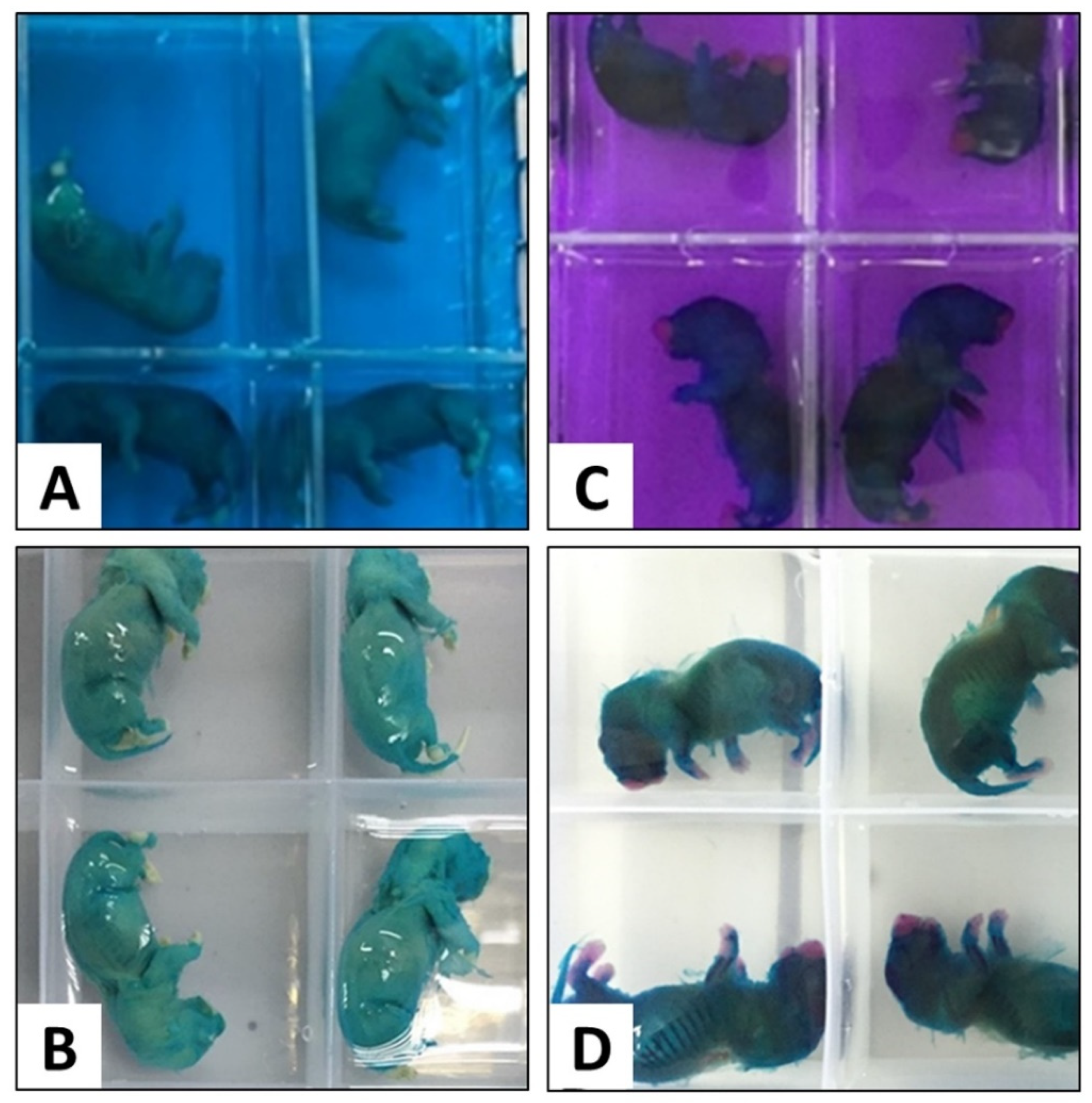 Children 09 00763 g002