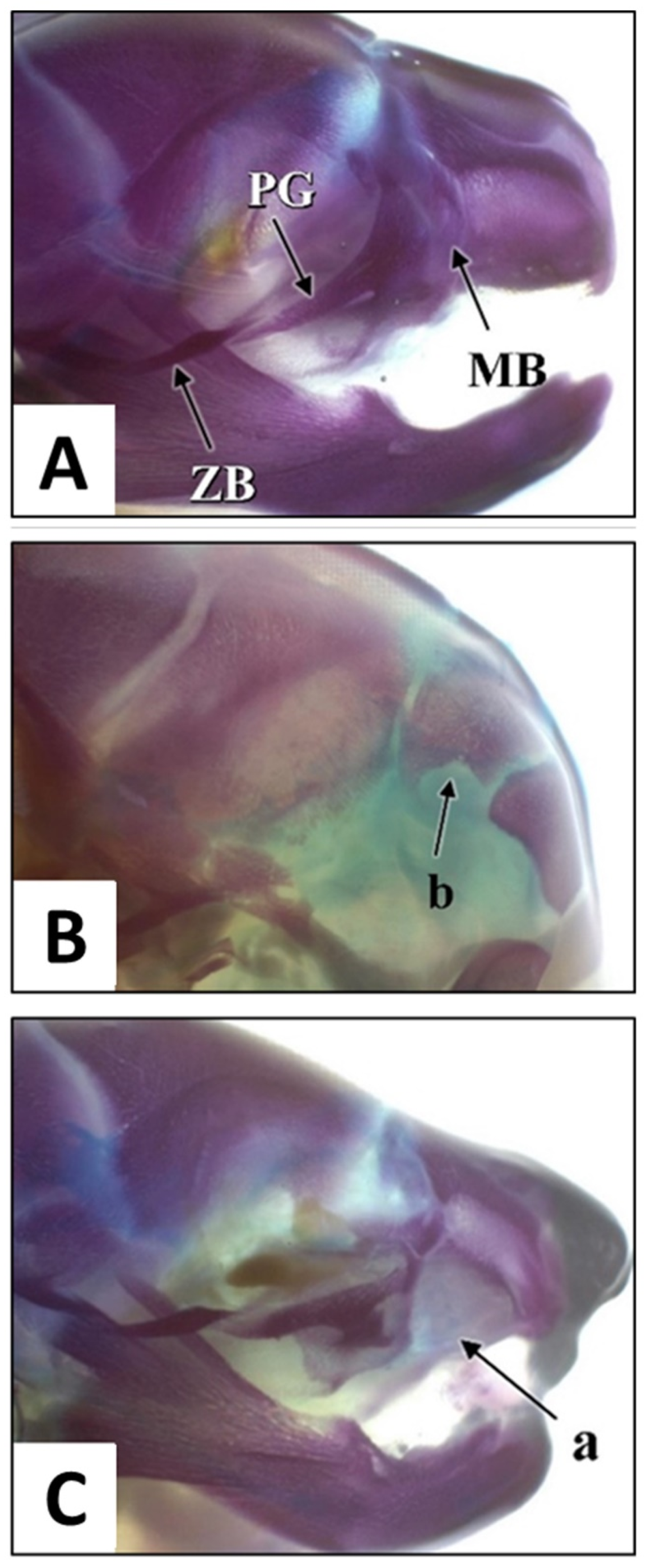 Children 09 00763 g004