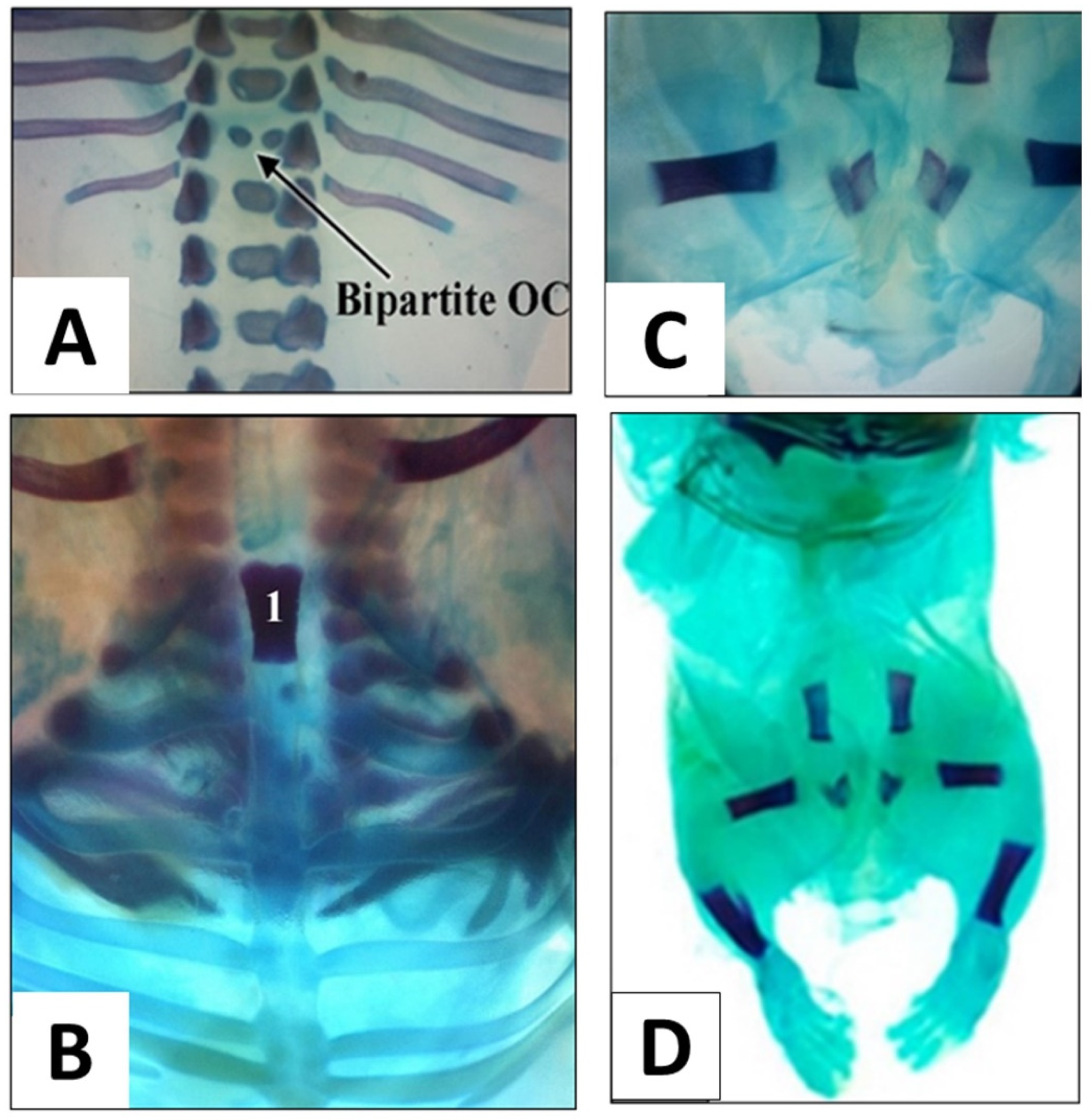 Children 09 00763 g005